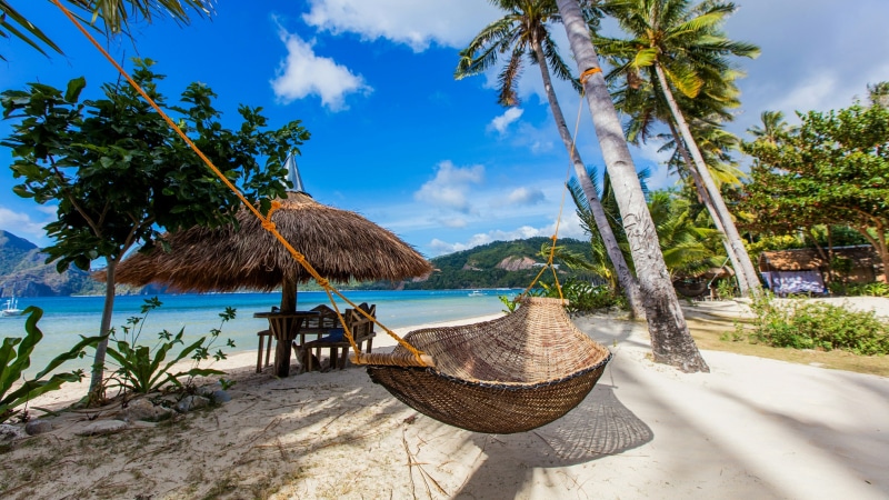 Braided Hammock Shore Relax Sky 4K Resort Caribbean Palm Tree