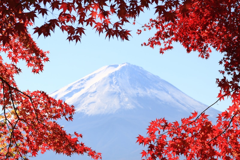 Lake Kawaguchi Blue Mountain Sky Blue Snow Mt Fuji Covered Photo