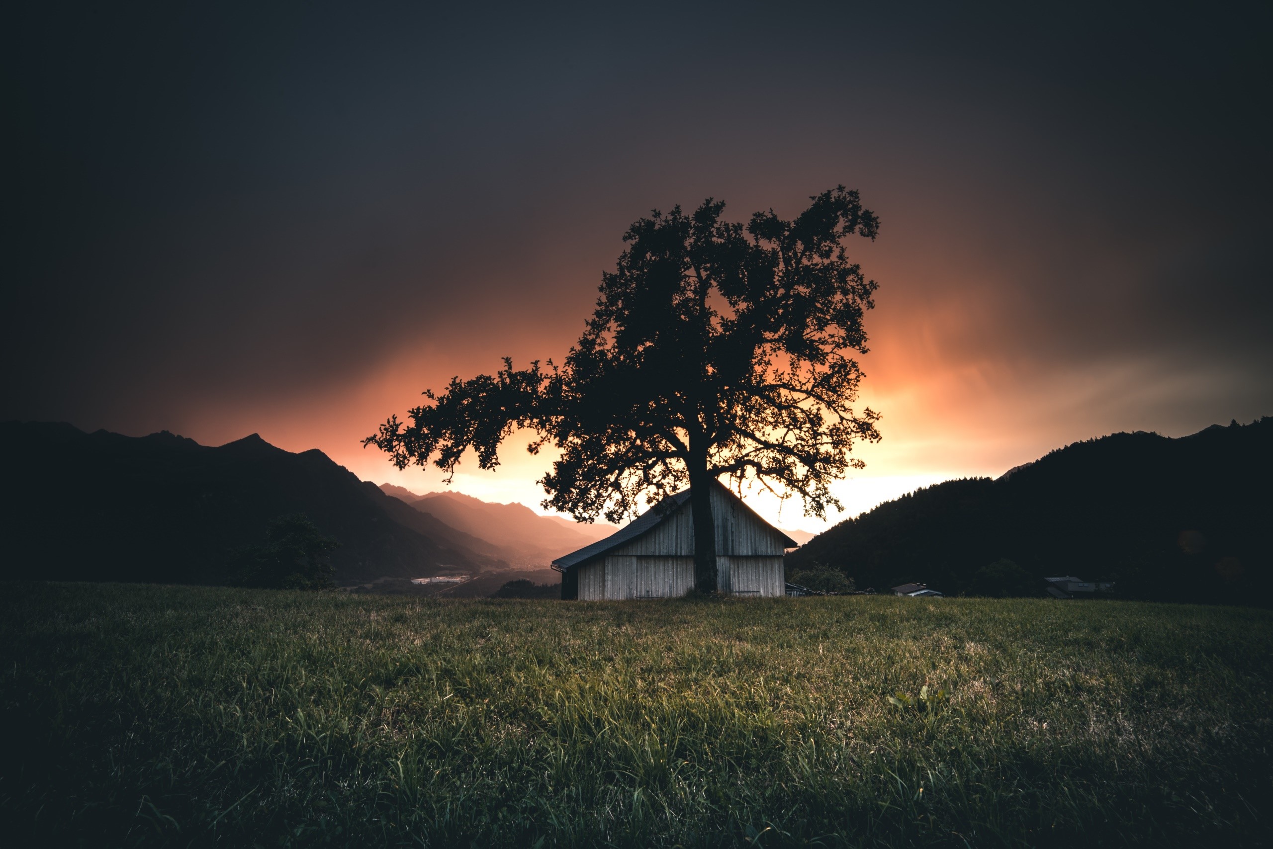 sunlight, landscape, trees, HD Wallpaper