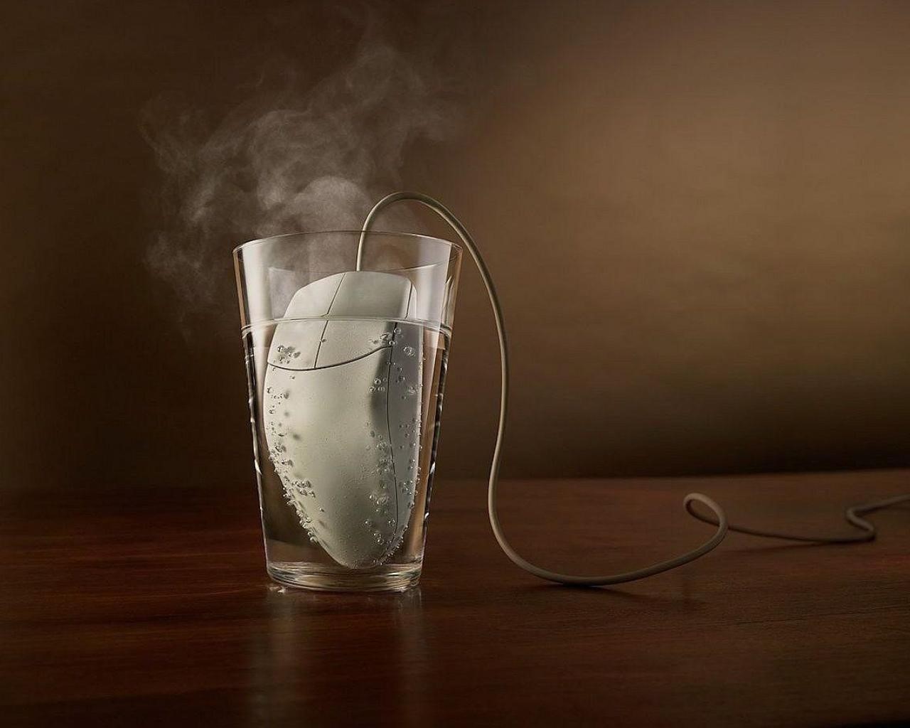 mouseguard, mousetrap, water, glass, table, HD Wallpaper