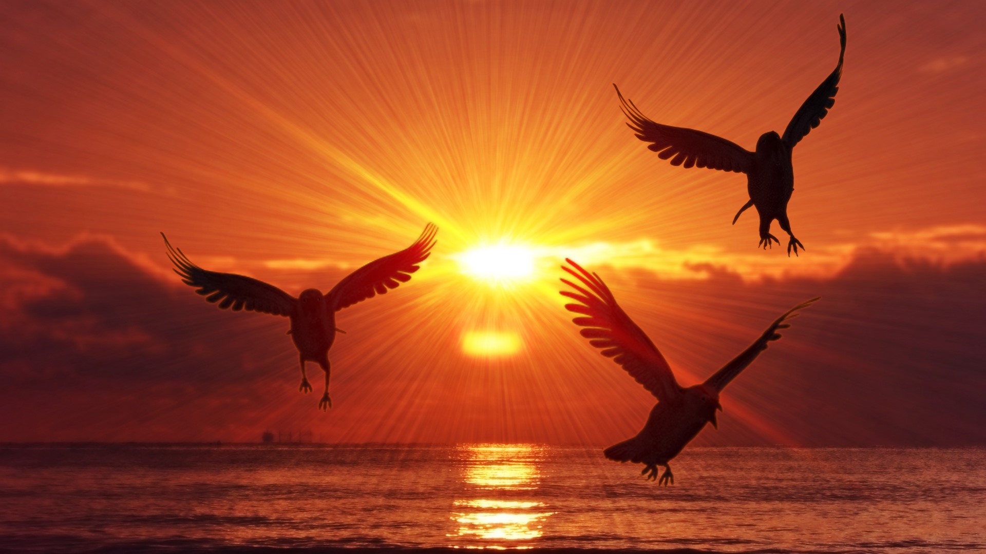 orange, birds, sunrise, silhouette, sea, sky, clouds, HD Wallpaper
