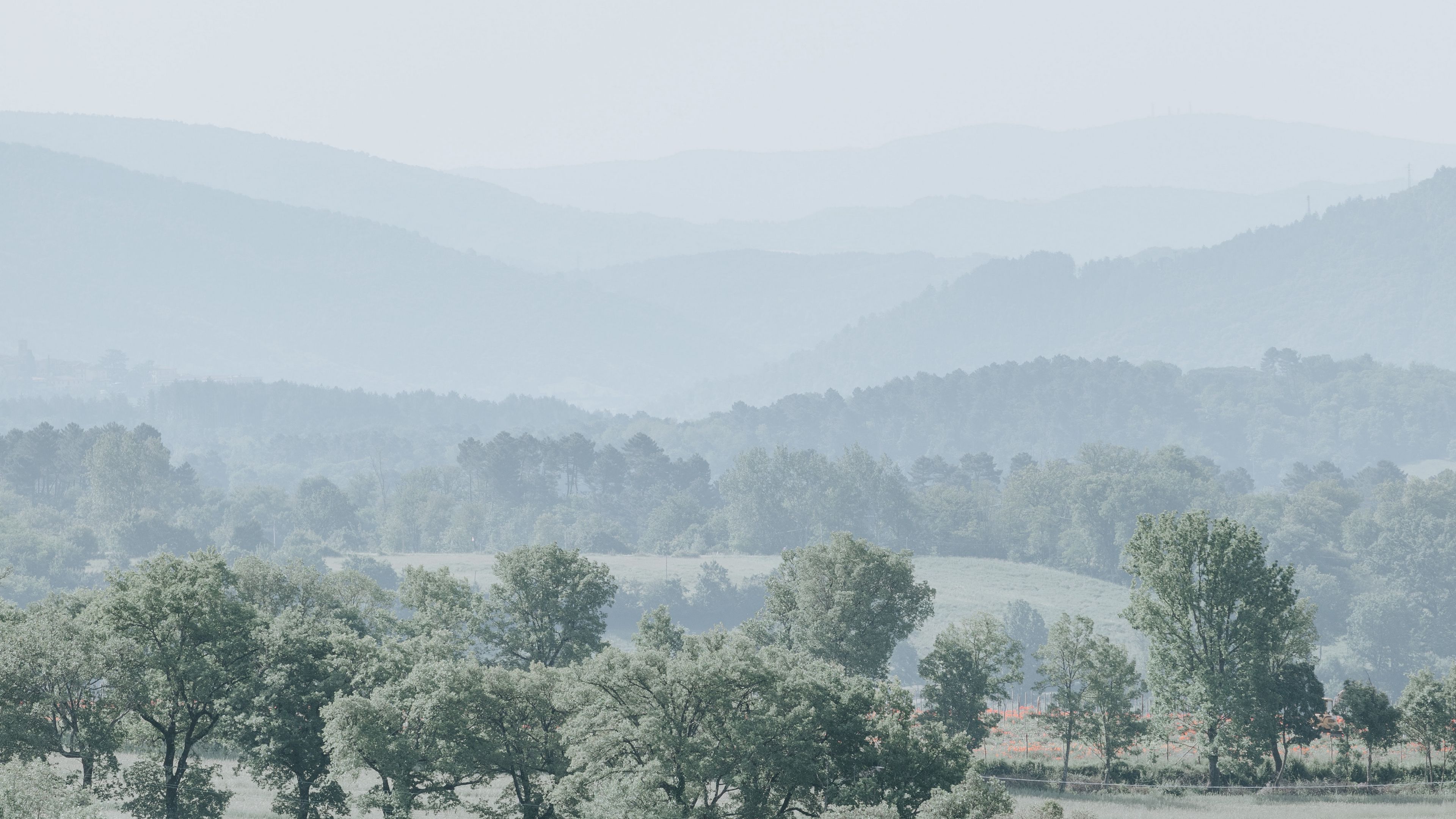 hills, trees, fog, horizon, landscape, 4k, HD Wallpaper