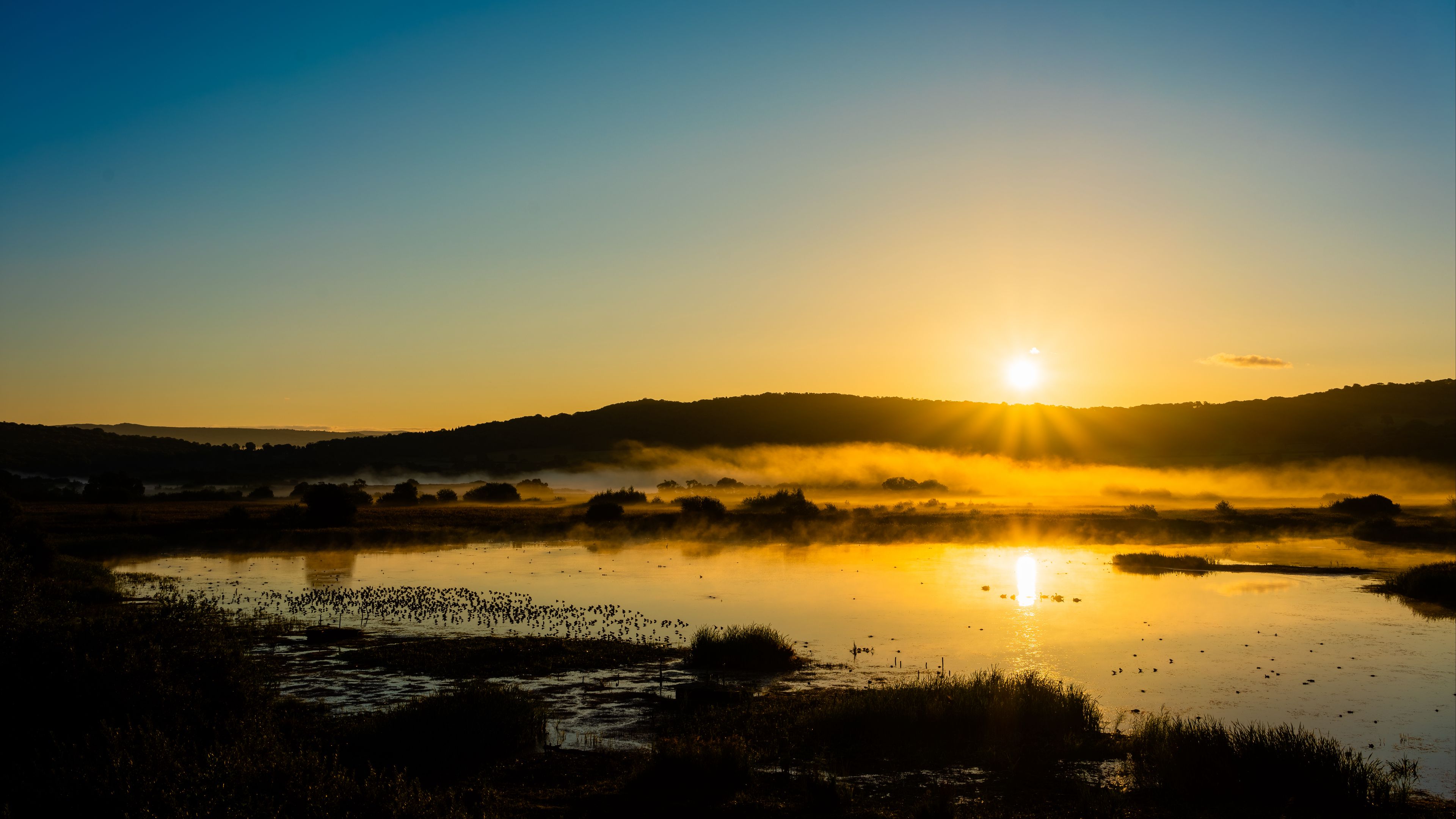 lake, sunset, grass, sky, shadows, 4k, HD Wallpaper
