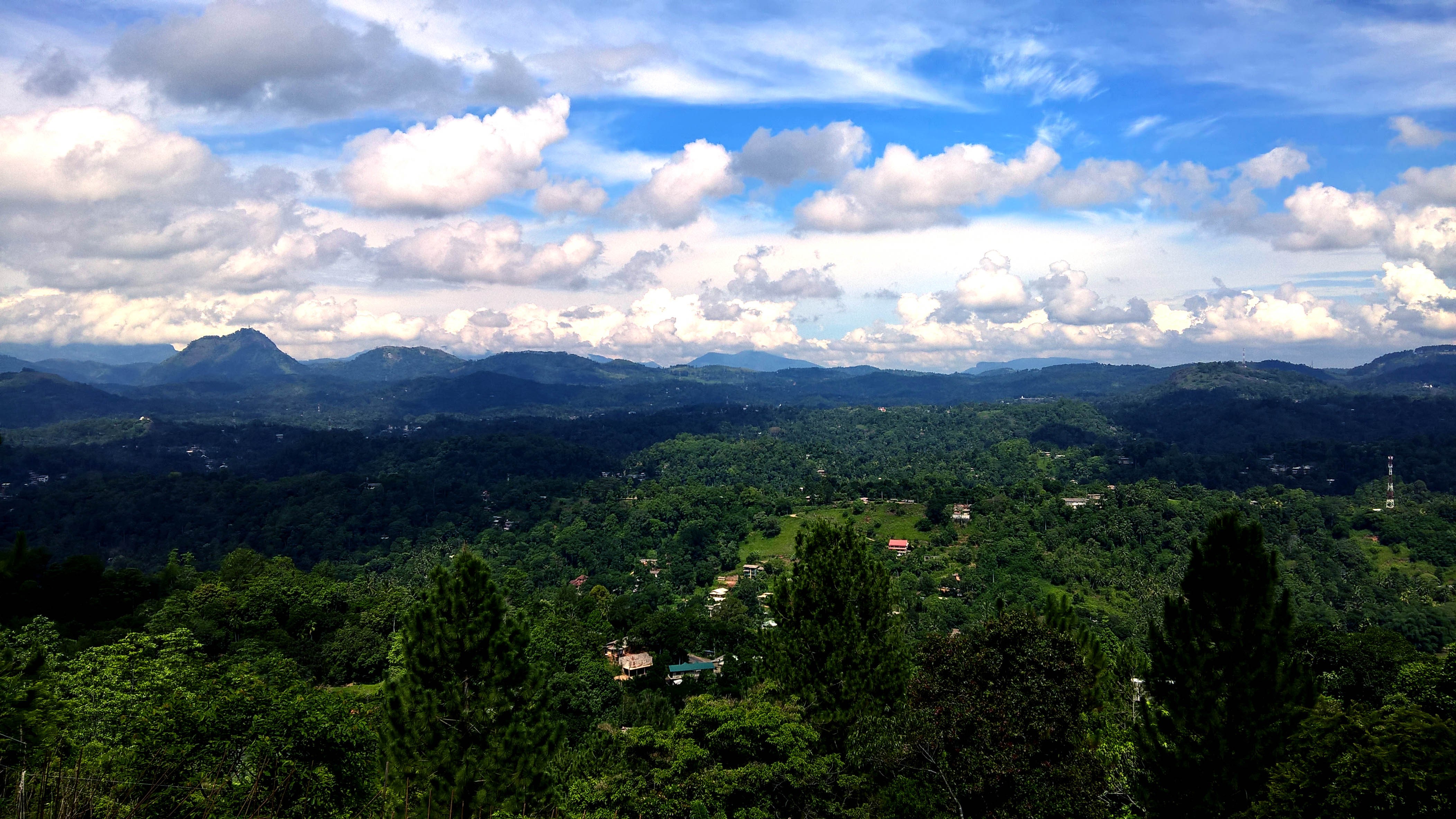 hill, sky, trees, landscape, HD Wallpaper