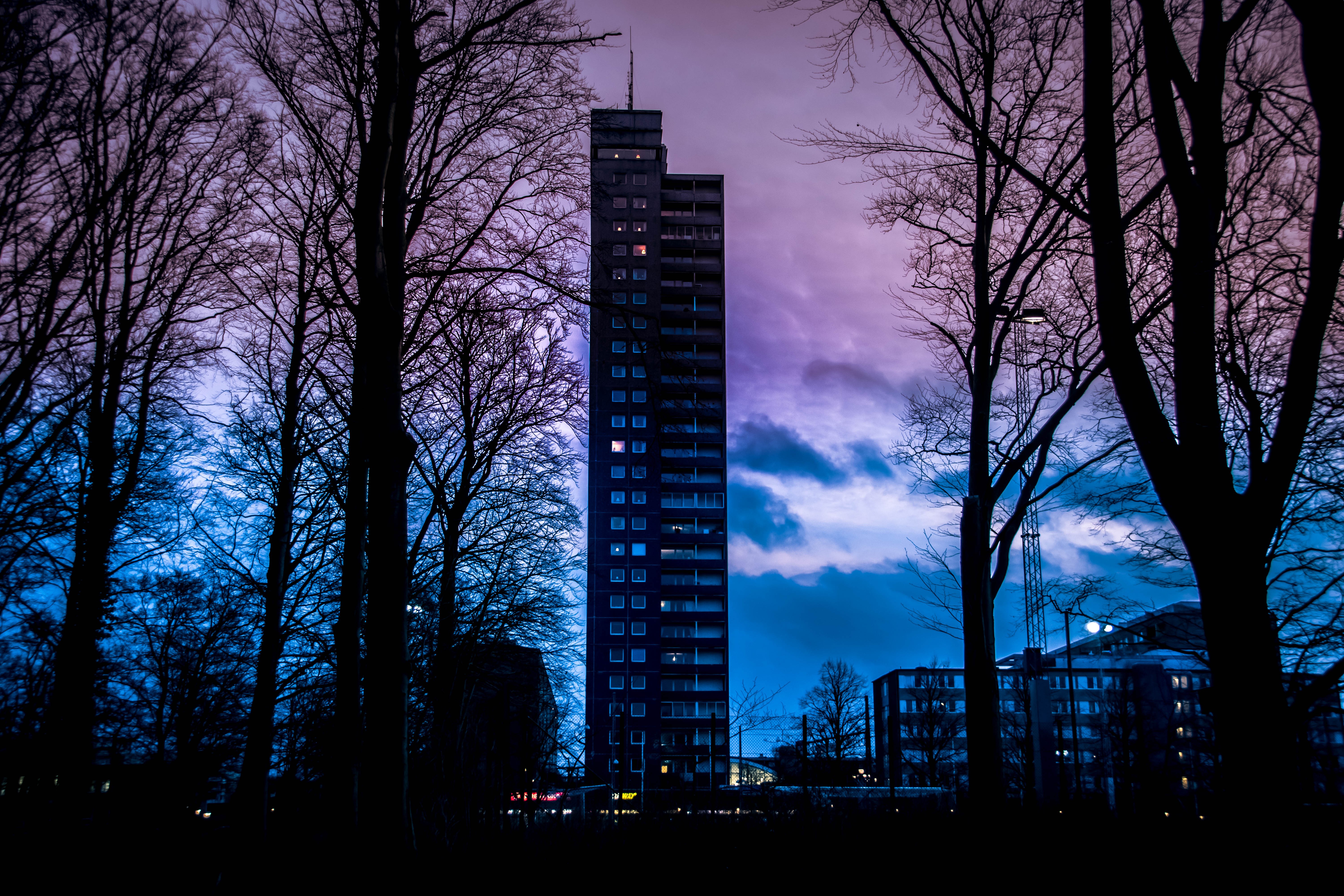 Sweden, building, sunset, city, evening, blue, violet, trees, HD Wallpaper