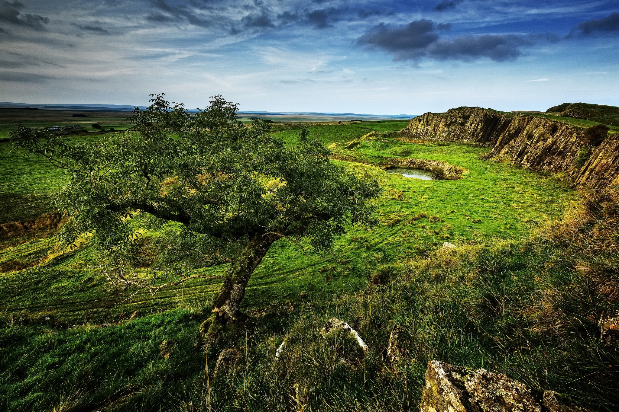 green, nature, trees, landscape, HD Wallpaper