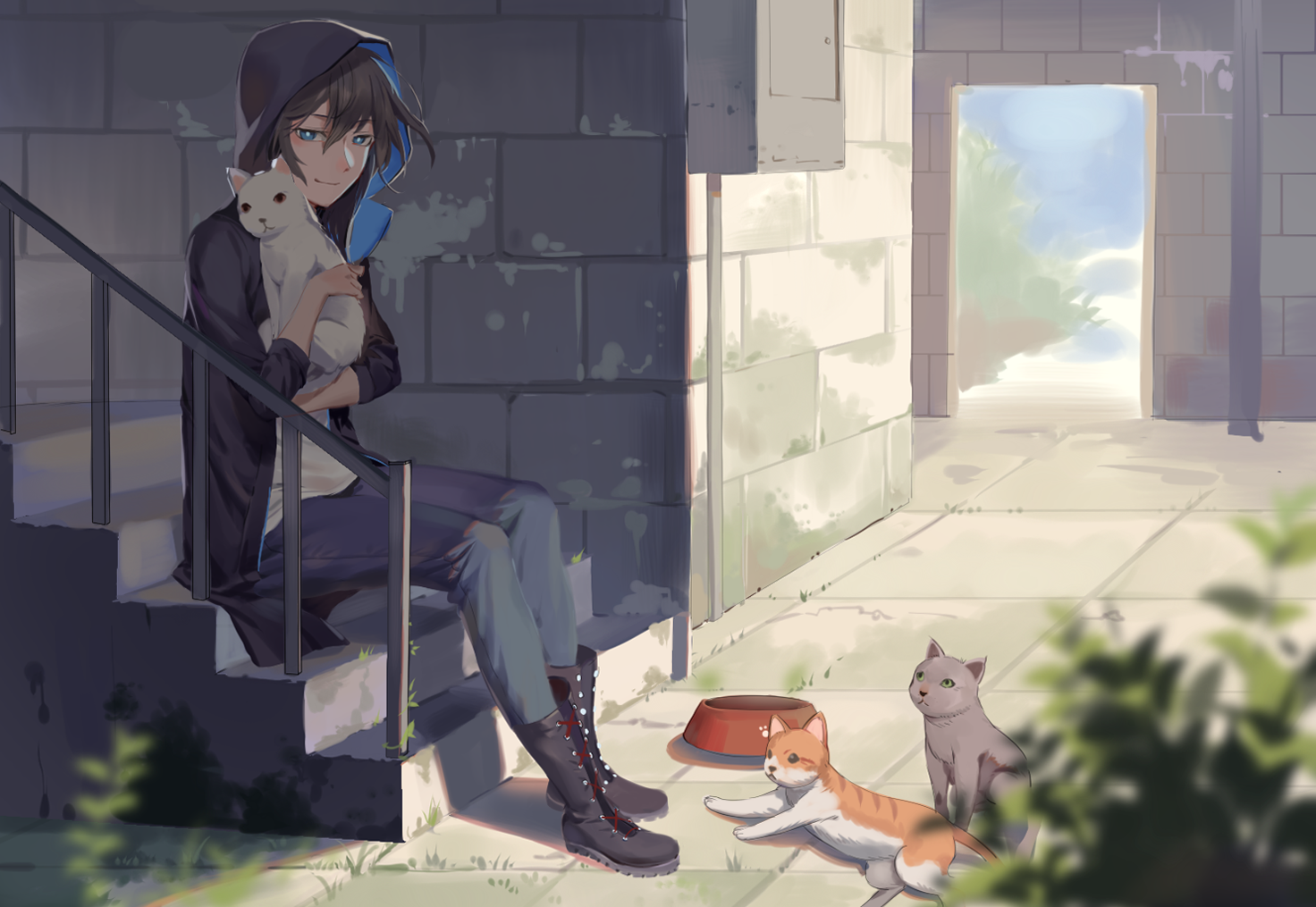 cats, black hair, blue eyes, stairs, smiling, HD Wallpaper