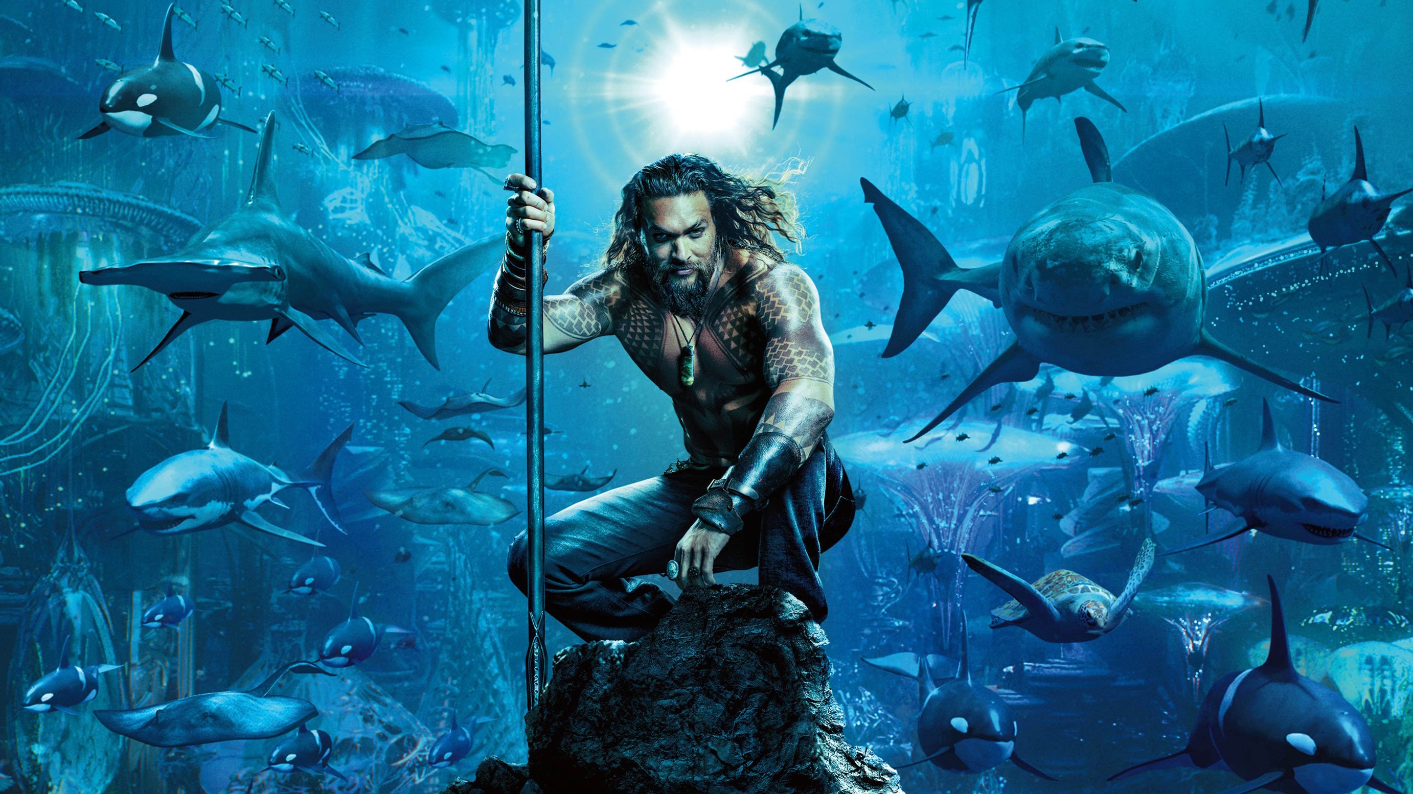 Aquaman, DC Comics, Warner Brothers, Justice League, Jason Momoa, HD Wallpaper