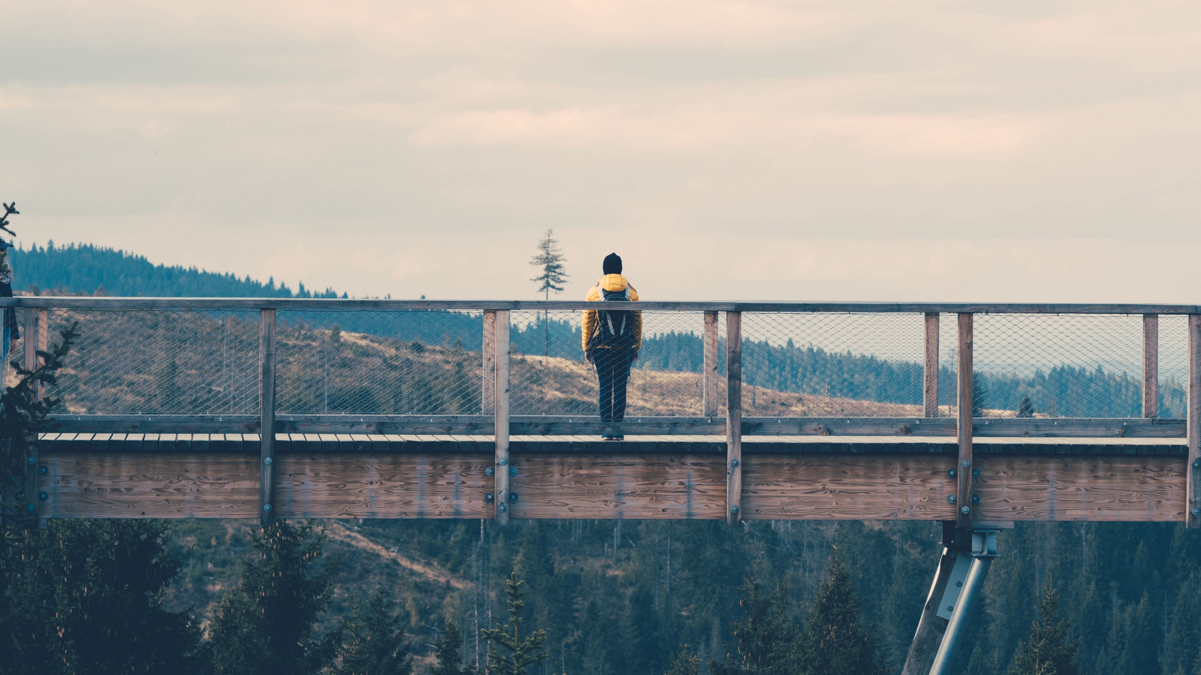 bridge, man, loneliness, nature, 4k, HD Wallpaper