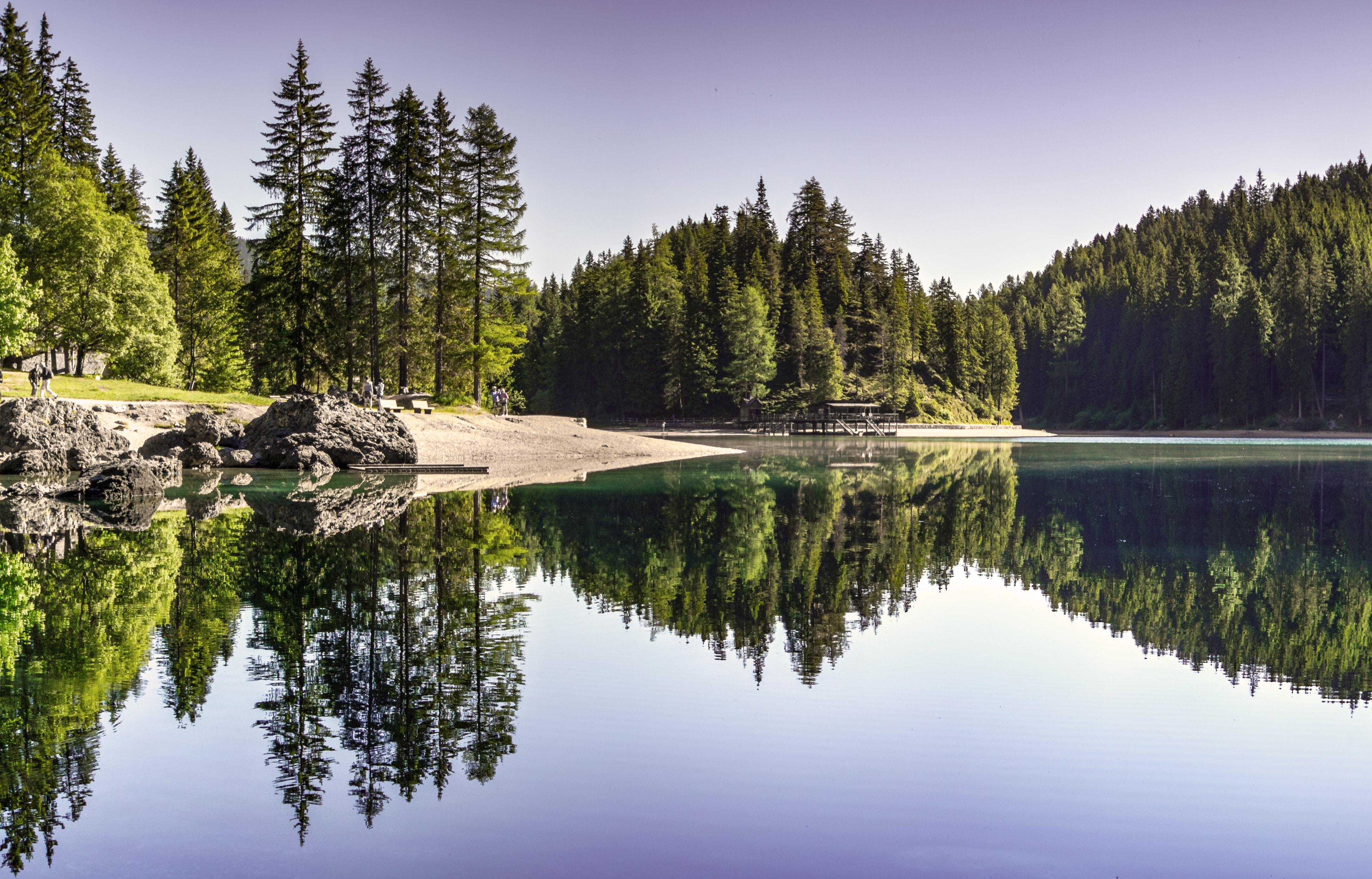 landscape, nature, lake, reflection, forest, pine trees, trees, HD Wallpaper