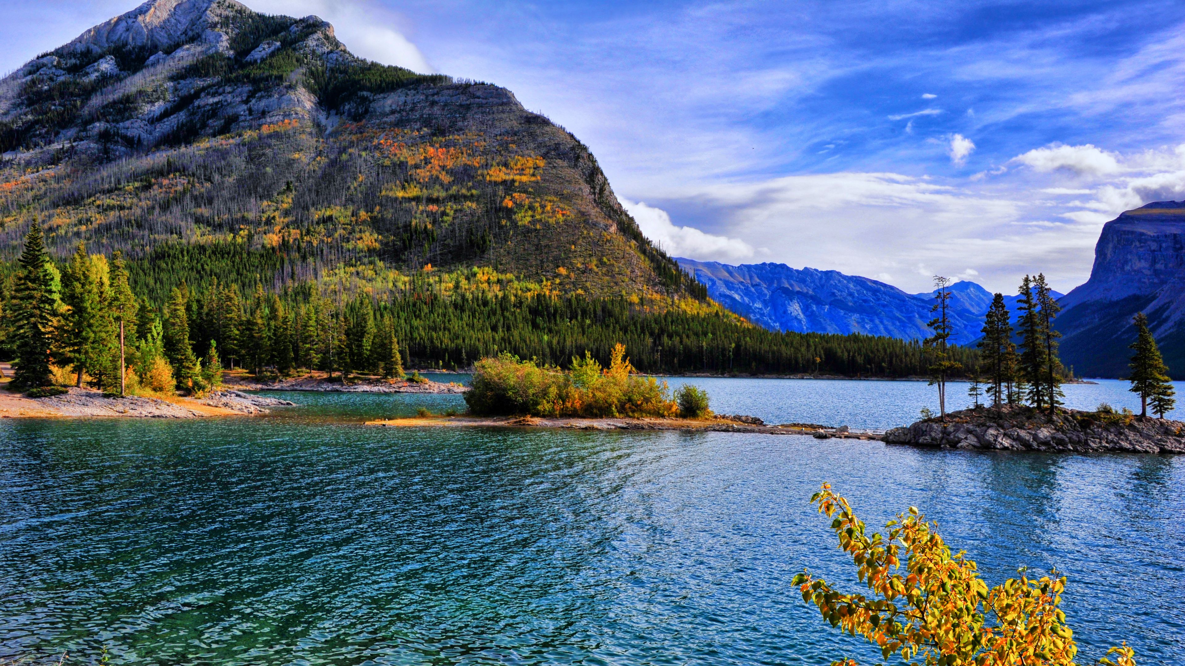 slope, lake, forest, trees, autumn, 4k, HD Wallpaper