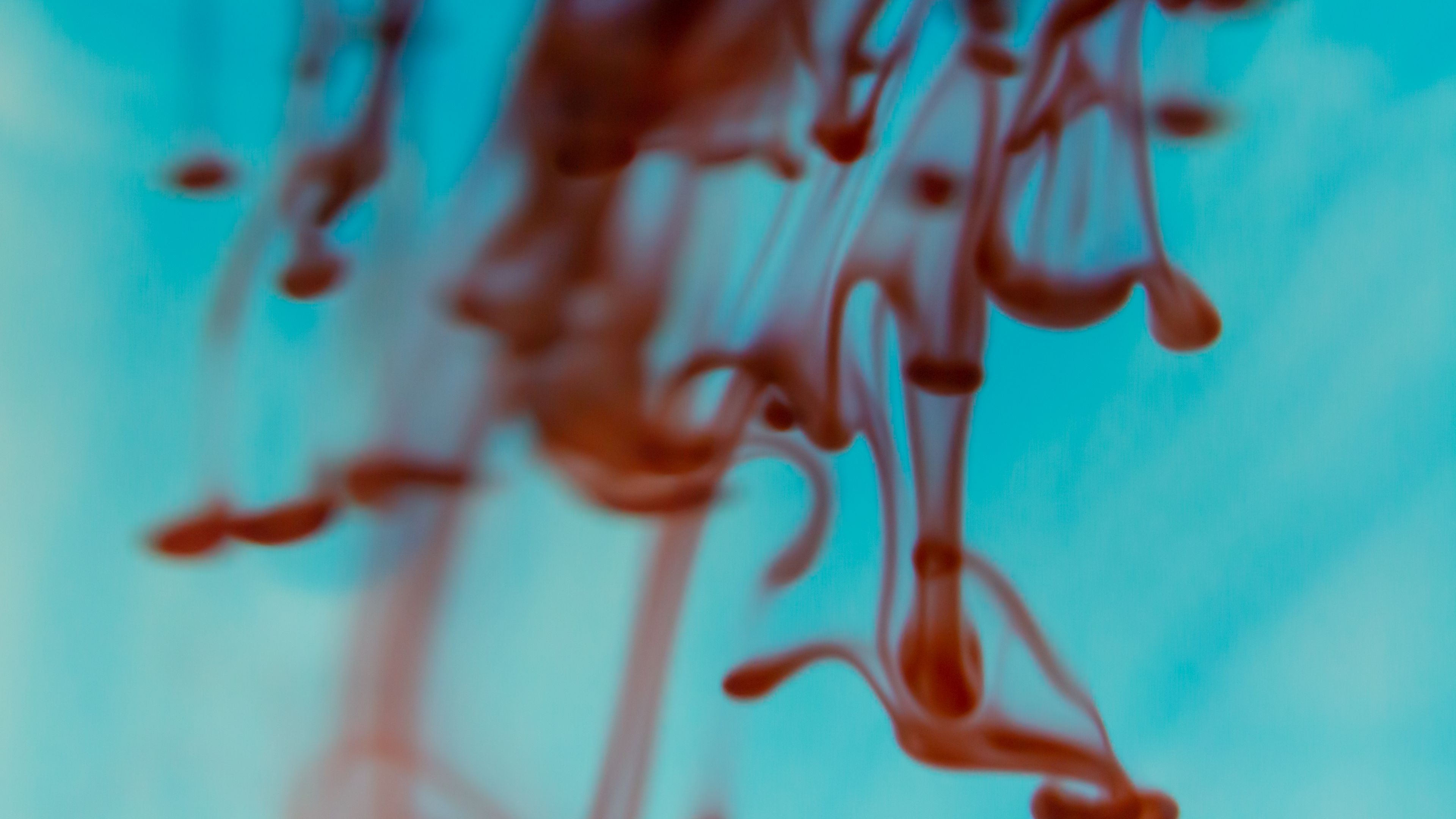 ink, clot, liquid, macro, blending, 4k, HD Wallpaper