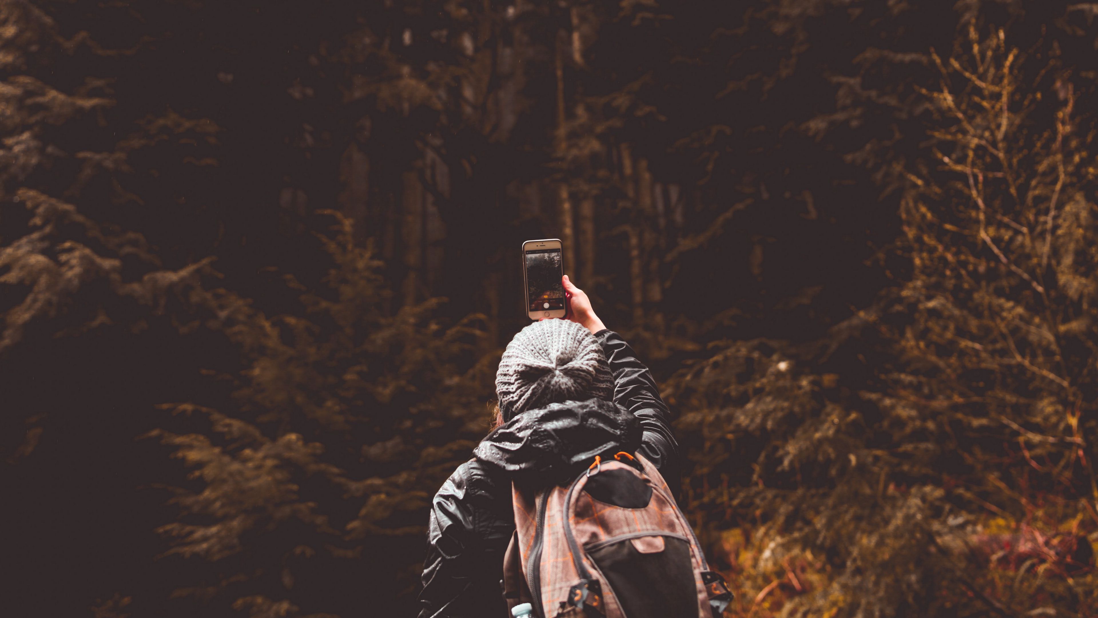 tourist, walk, mood, forest, travel, 4k, HD Wallpaper