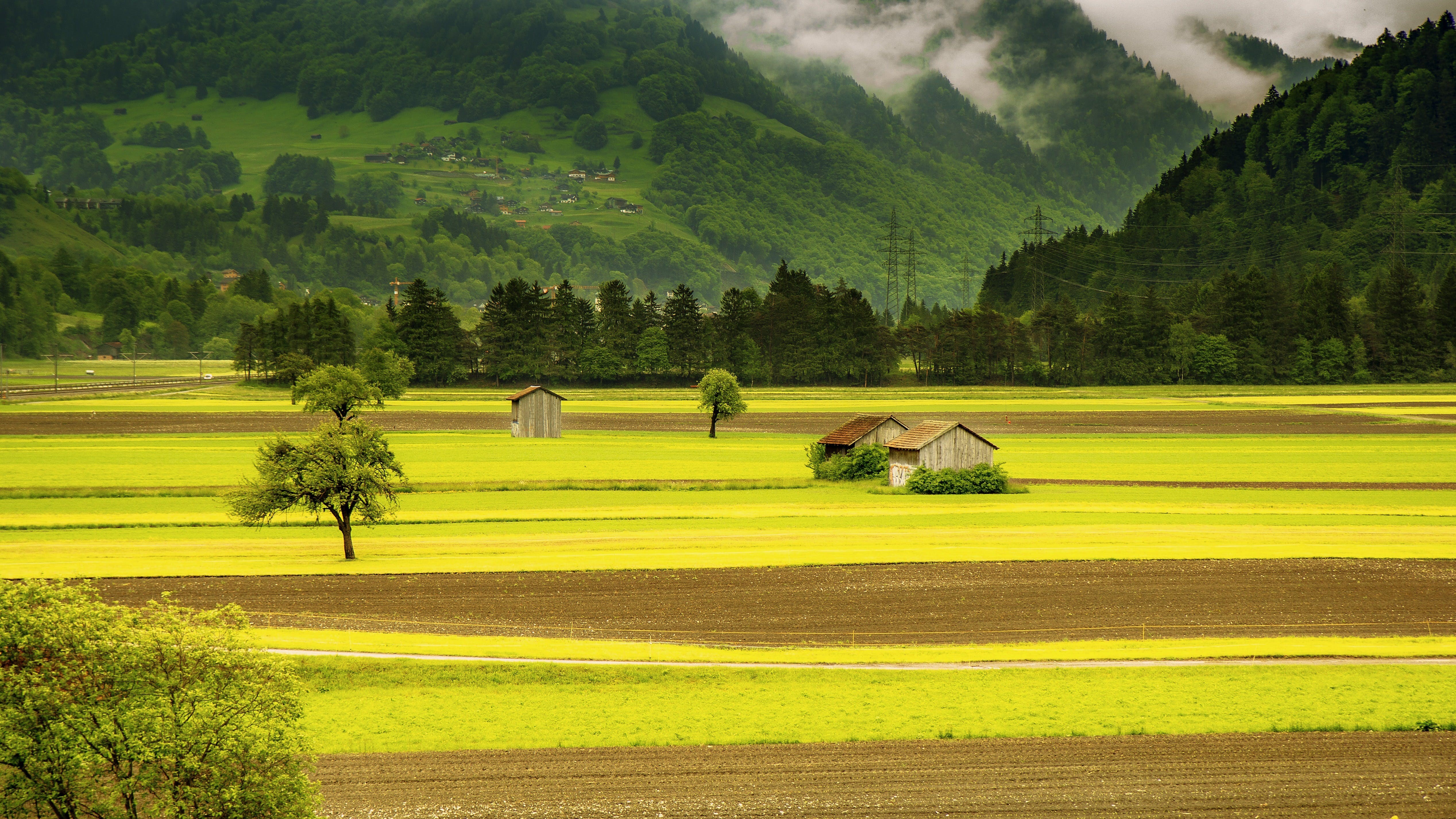 nature, landscape, field, pine trees, village, mountains, HD Wallpaper