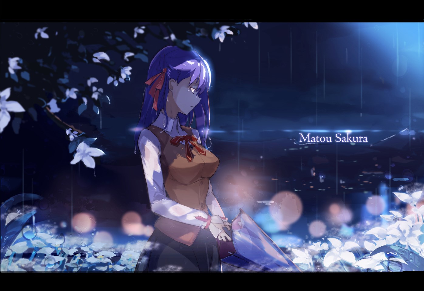 Fate Series, Fate/Stay Night, anime girls, Matou Sakura, HD Wallpaper