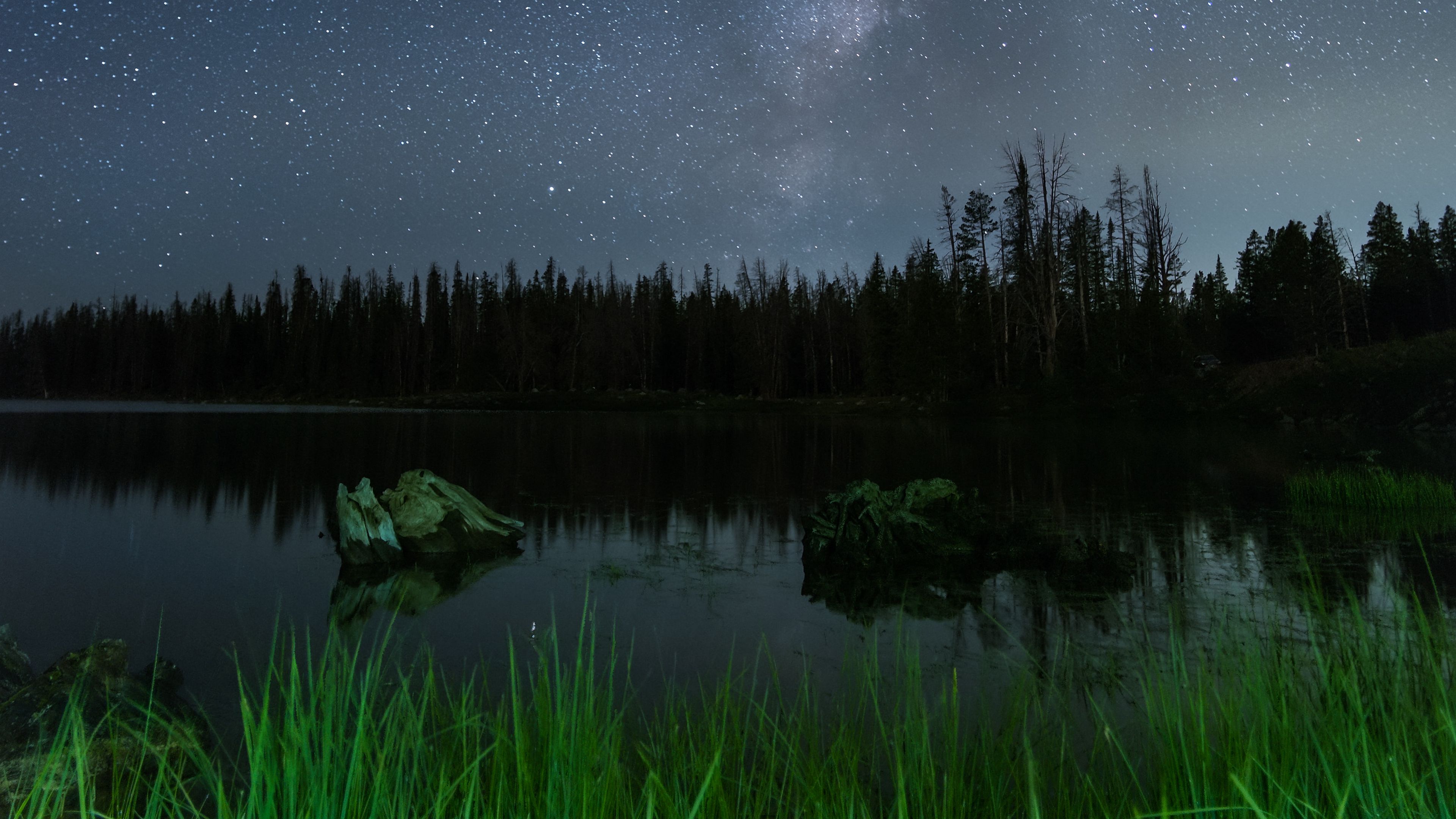 lake, night, starry sky, grass, trees, 4k, HD Wallpaper