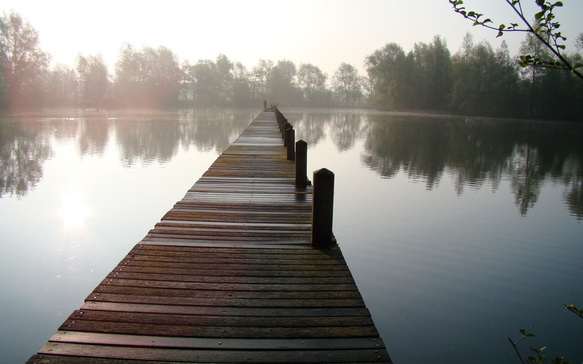 landscape, bridge, wood, water, plants, trees, lagoon, environment, pier, lake, sunlight, HD Wallpaper