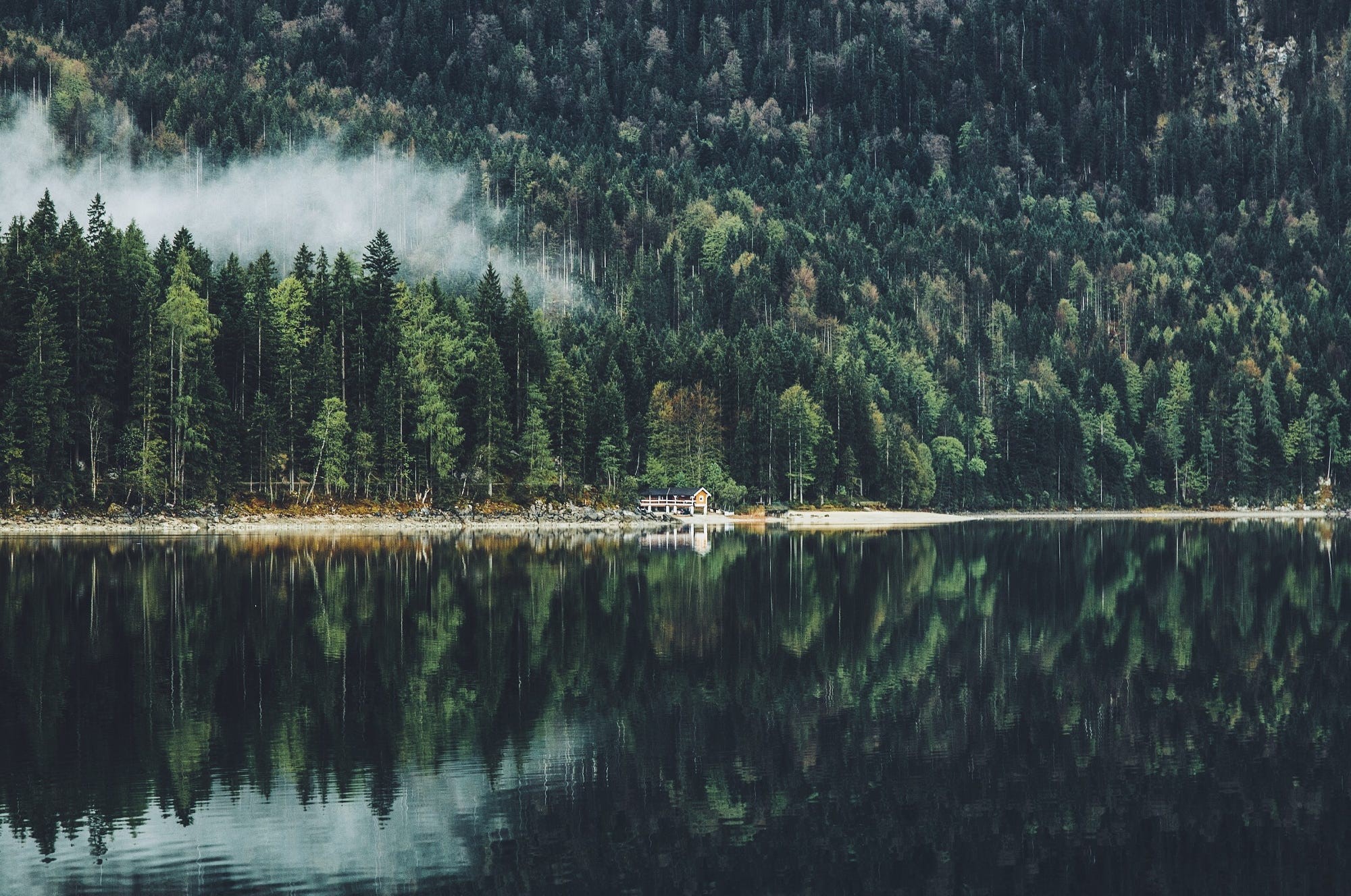 landscape, plants, house, water, trees, photography, reflection, pine trees, calm waters, HD Wallpaper