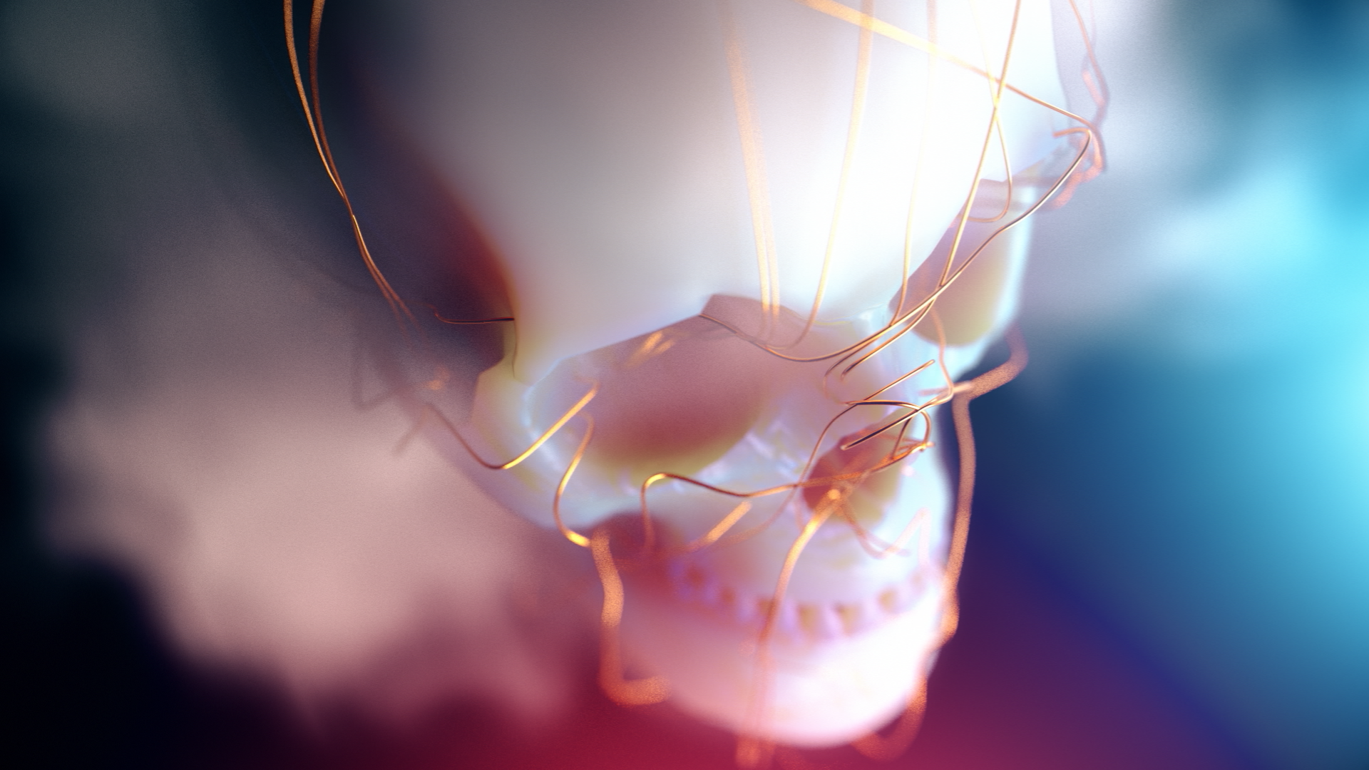 digital art, skull, wire, smoke, white, bokeh, depth of field, 3D, HD Wallpaper