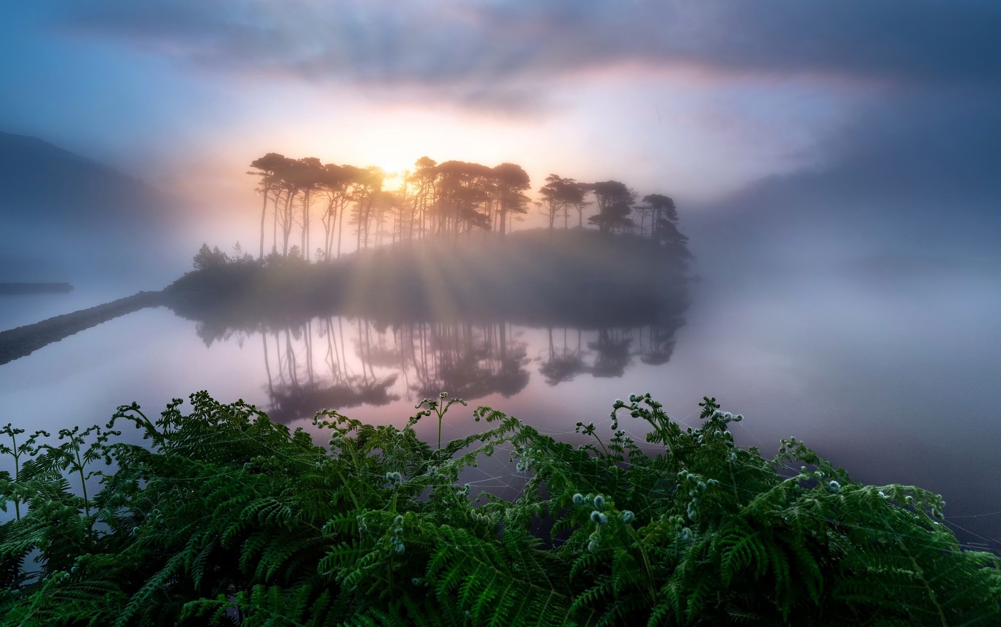 landscape, sunlight, nature, plants, HD Wallpaper