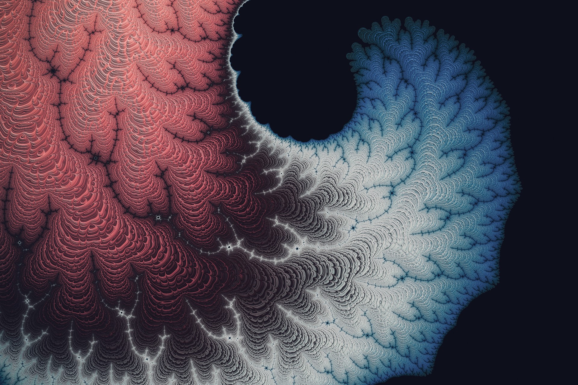 dark background, red, white, minimalism, abstract, texture, illustration, vector, HD Wallpaper