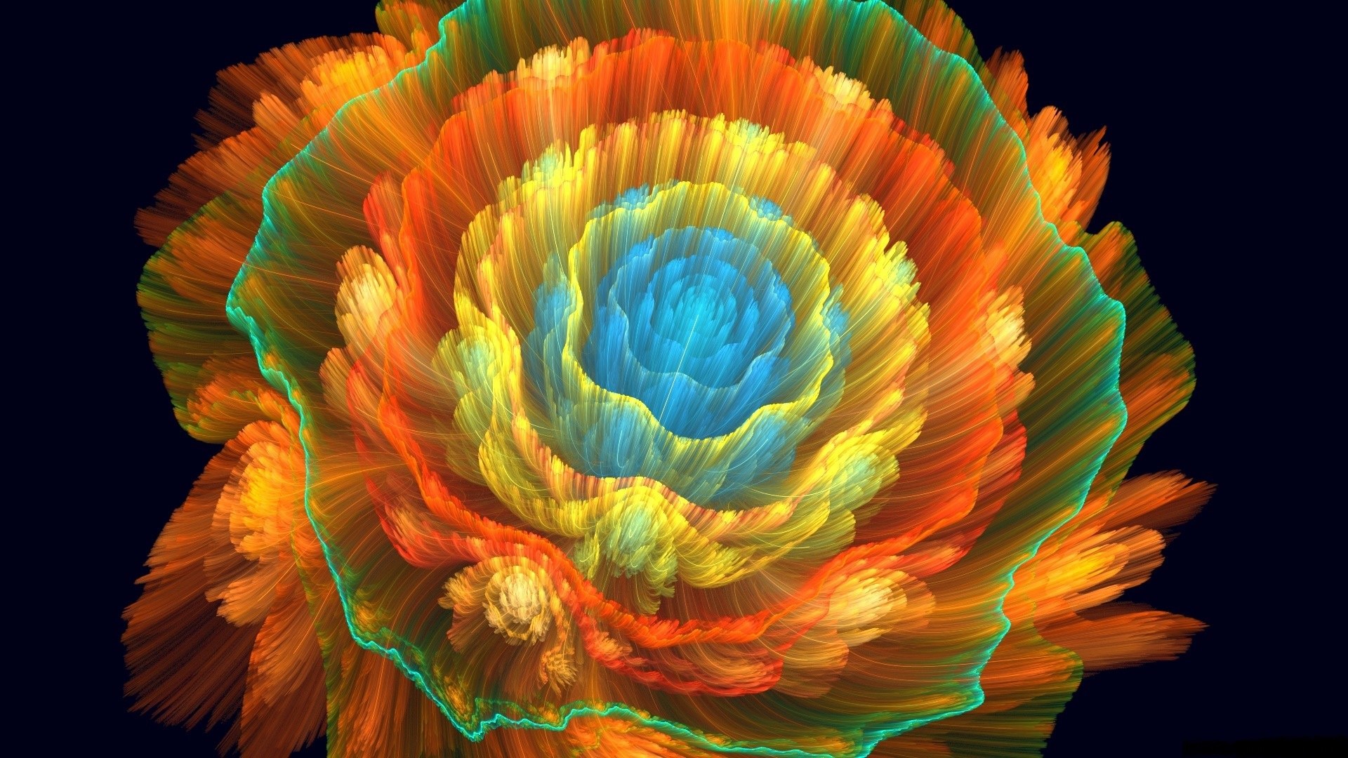 flowers, abstract, digital art, colorful, HD Wallpaper