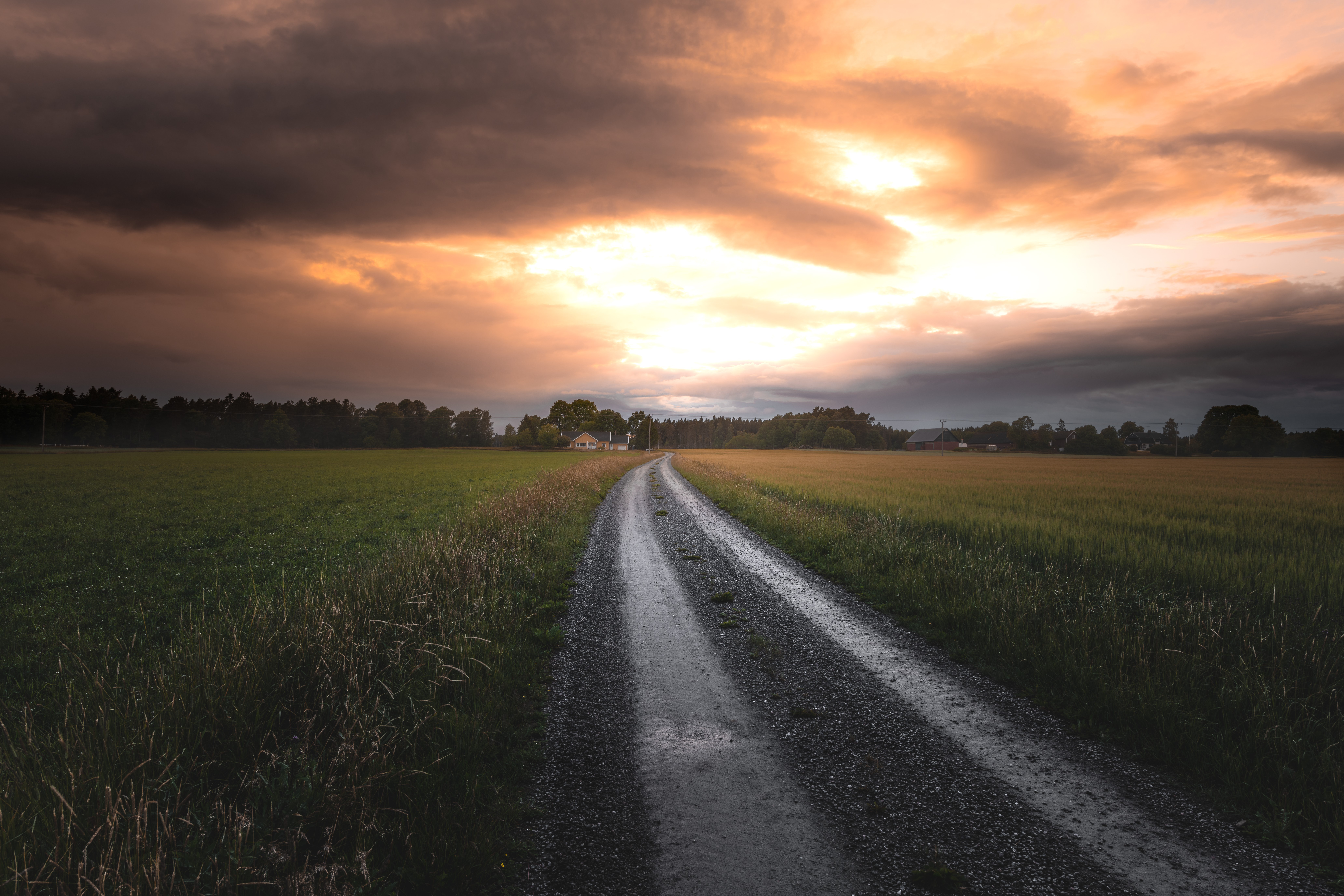 sunset, landscape, dirtroad, field, HD Wallpaper