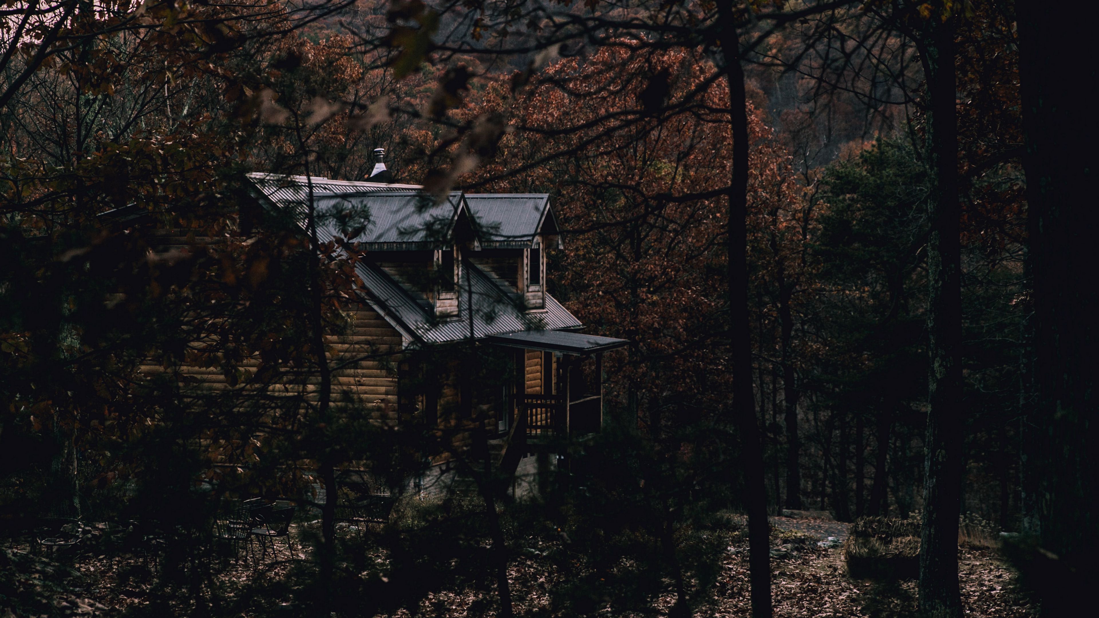 house, forest, trees, nature, comfort, 4k, HD Wallpaper