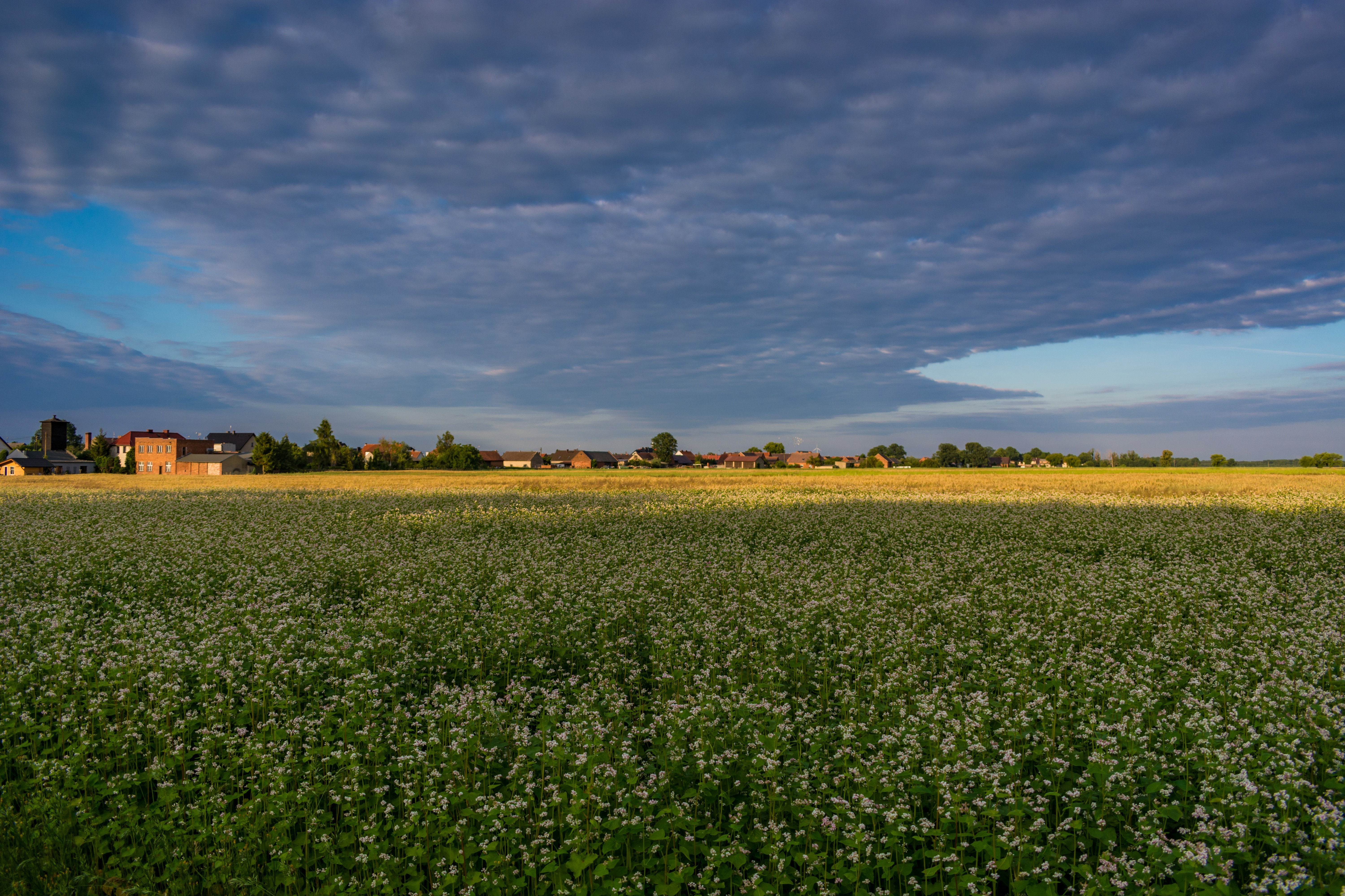sunset, nature, village, Poland, landscape, HD Wallpaper