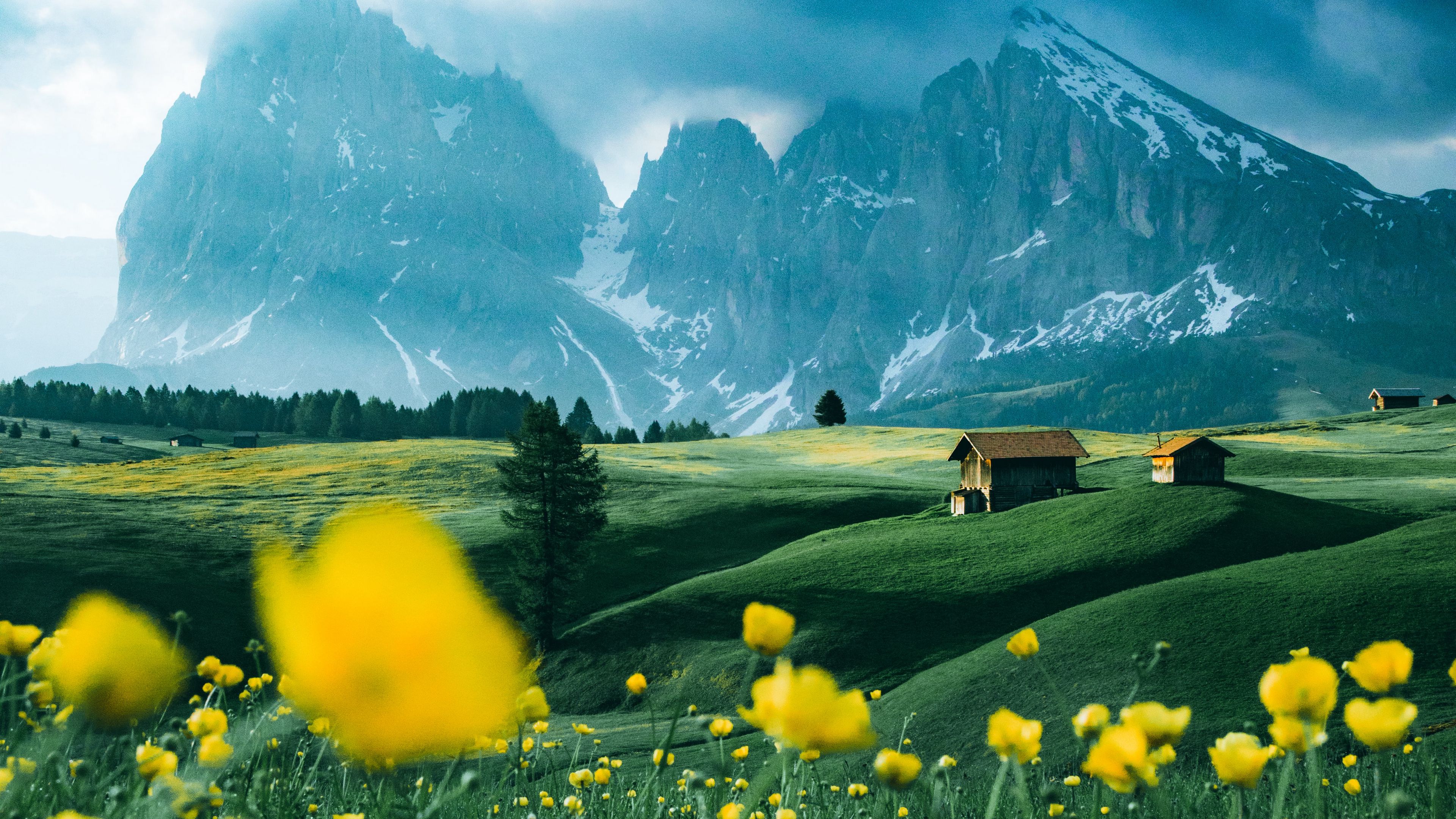 mountains, vast, field, flowers, structure, 4k, HD Wallpaper