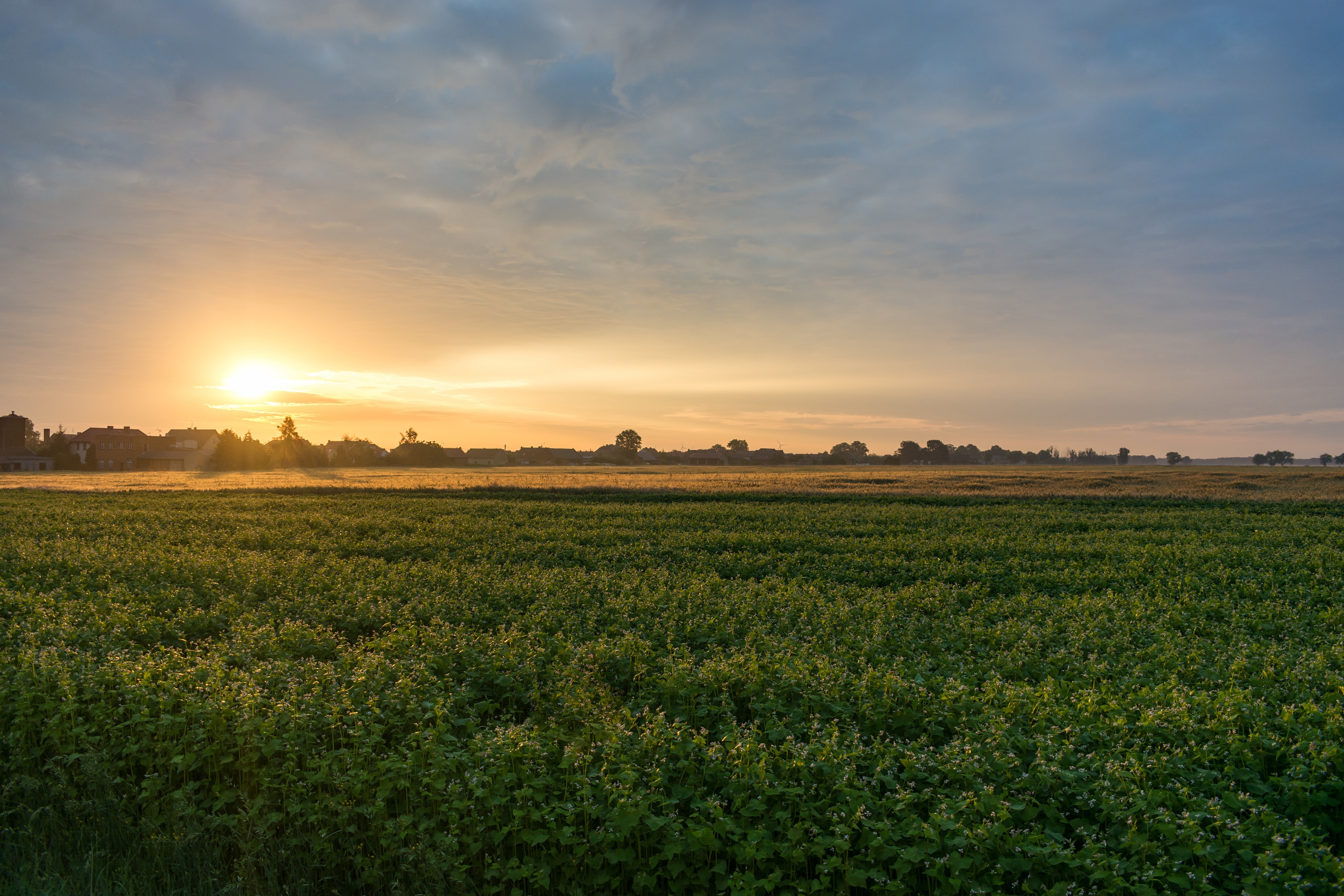 nature, landscape, sunrise, village, Poland, HD Wallpaper