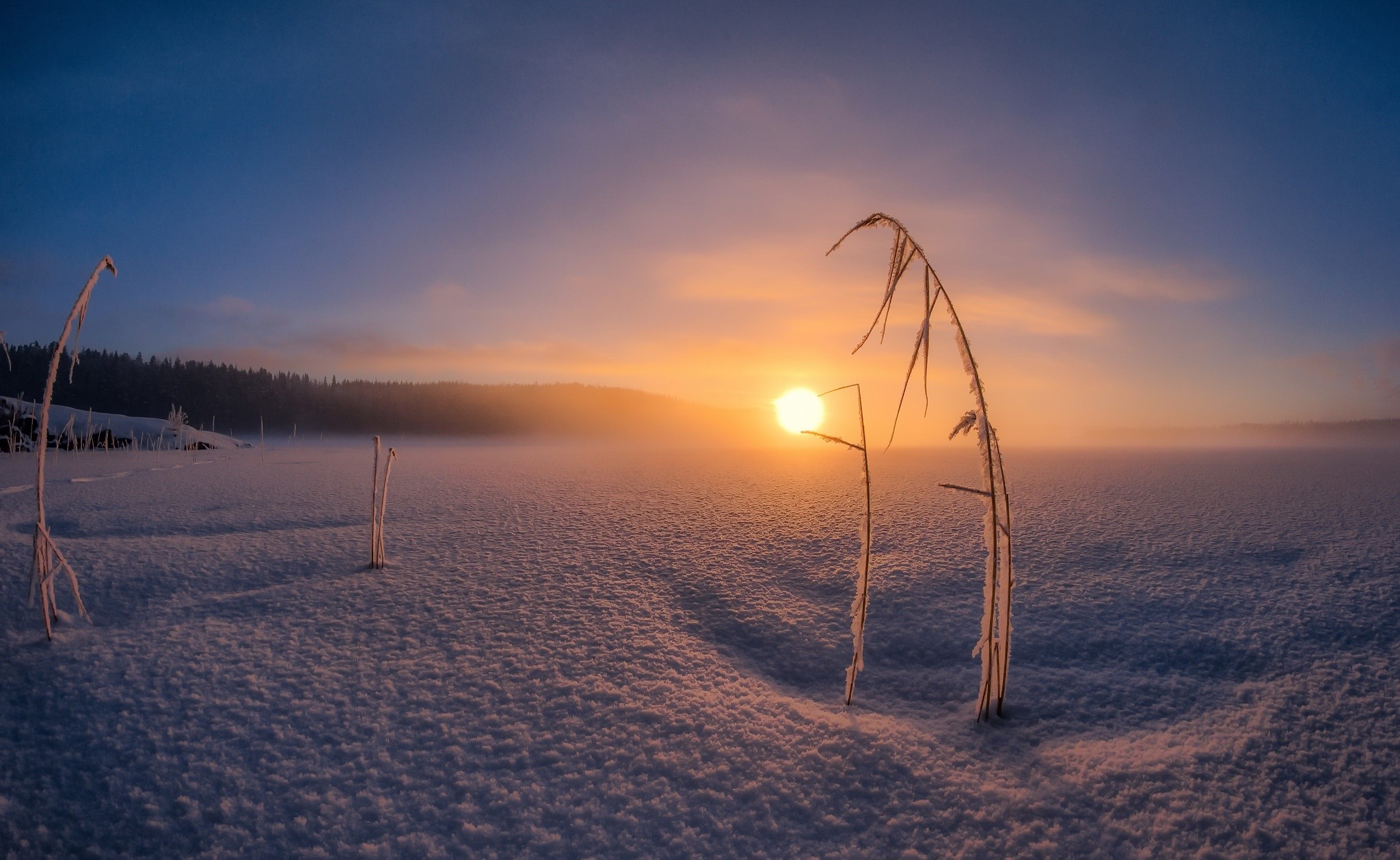 winter, snow, landscape, nature, HD Wallpaper