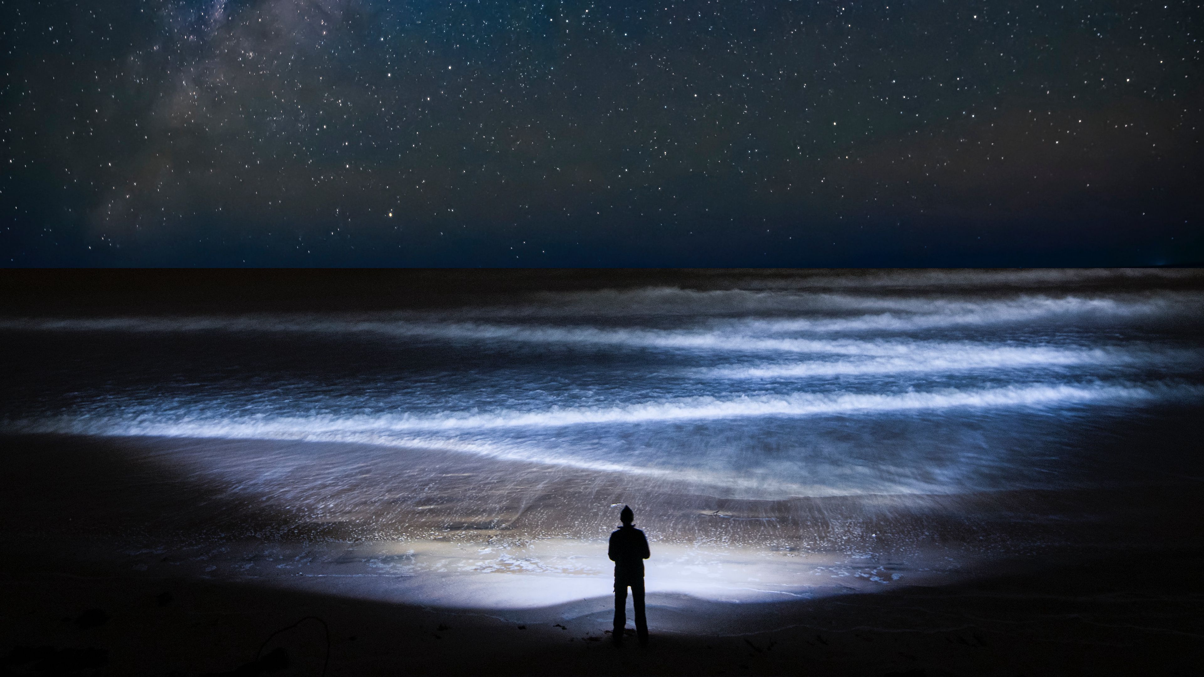 coast, night, silhouette, starry sky, ocean, 4k, HD Wallpaper
