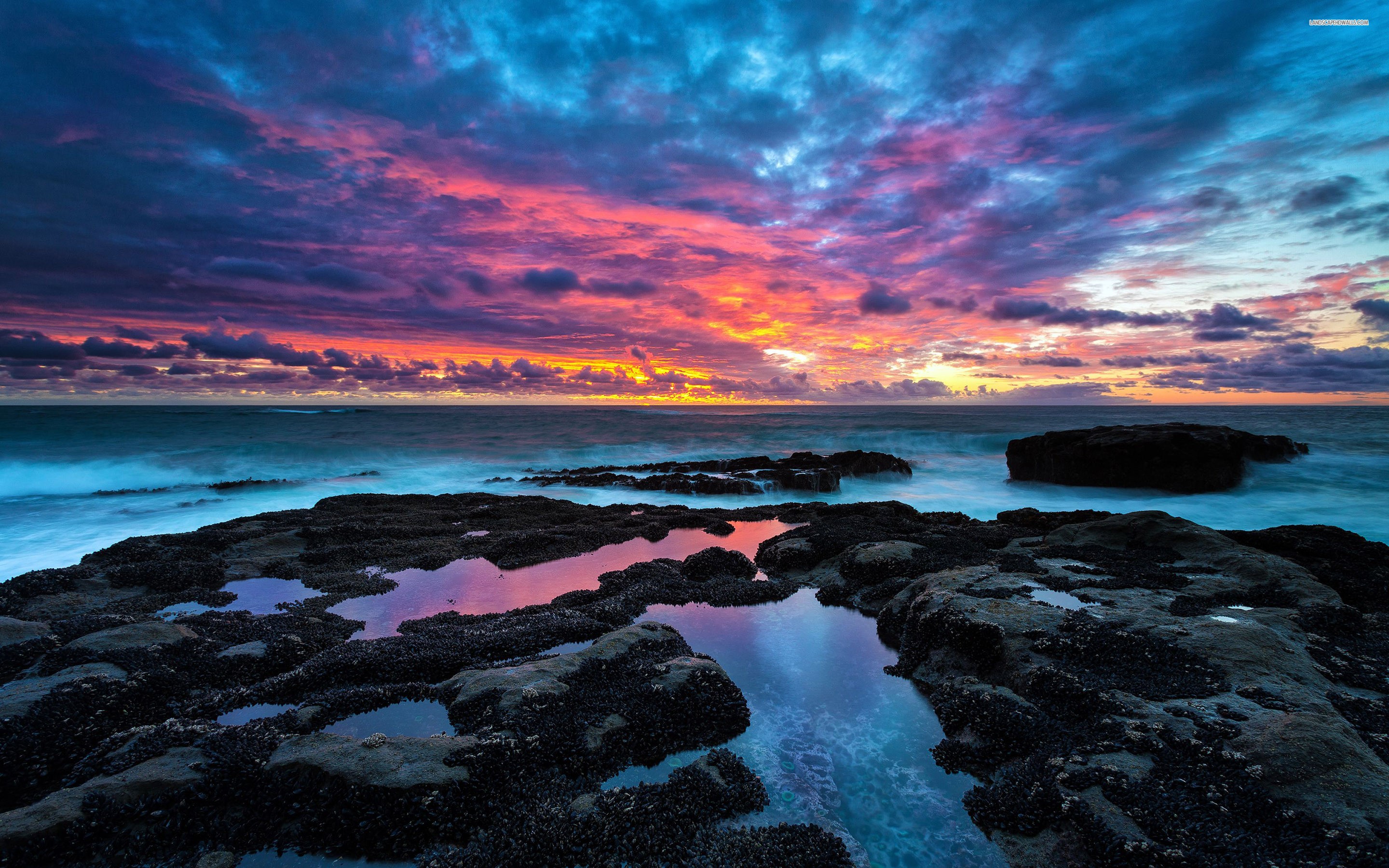 sea, sunset, clouds, nature, landscape, HD Wallpaper