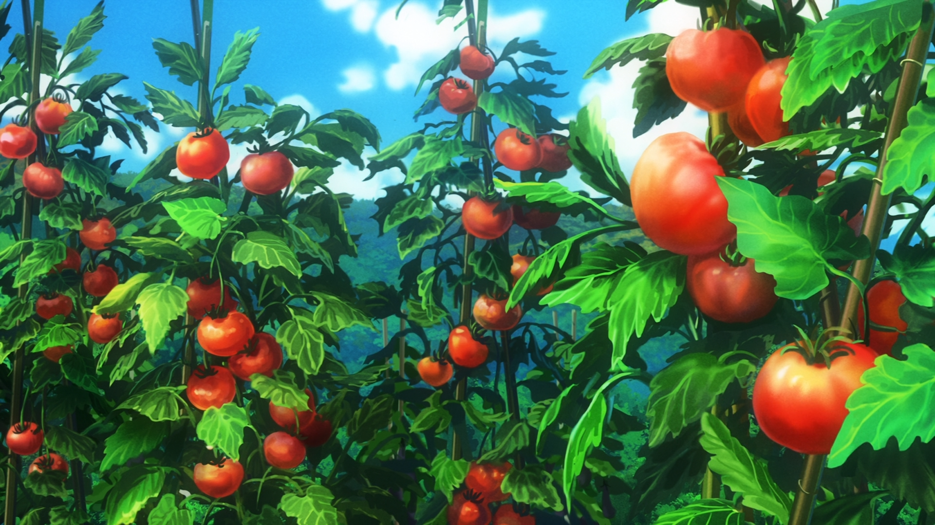Non Non Biyori, tomatoes, plants, HD Wallpaper