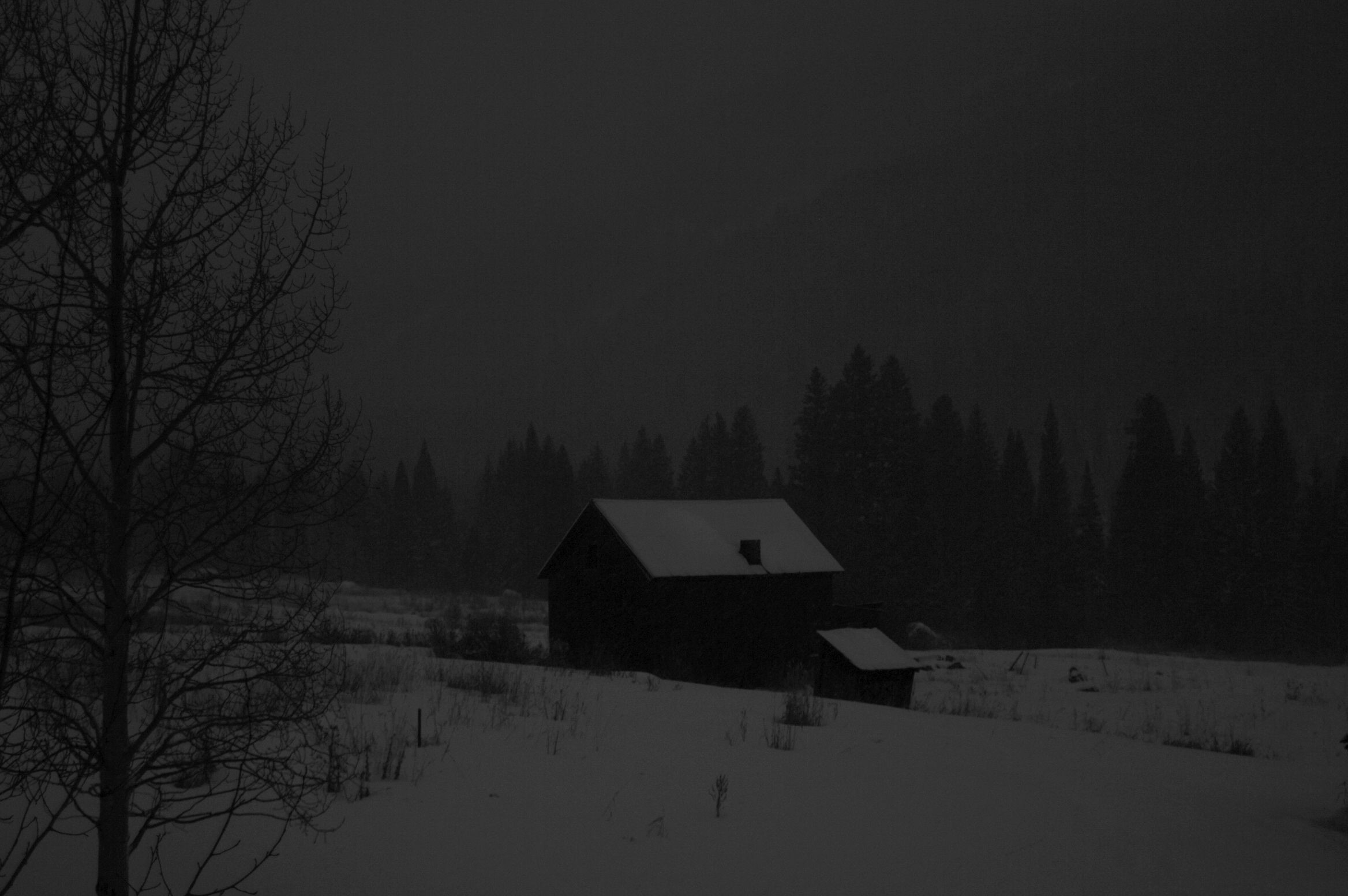 snow, cottage, forest, HD Wallpaper