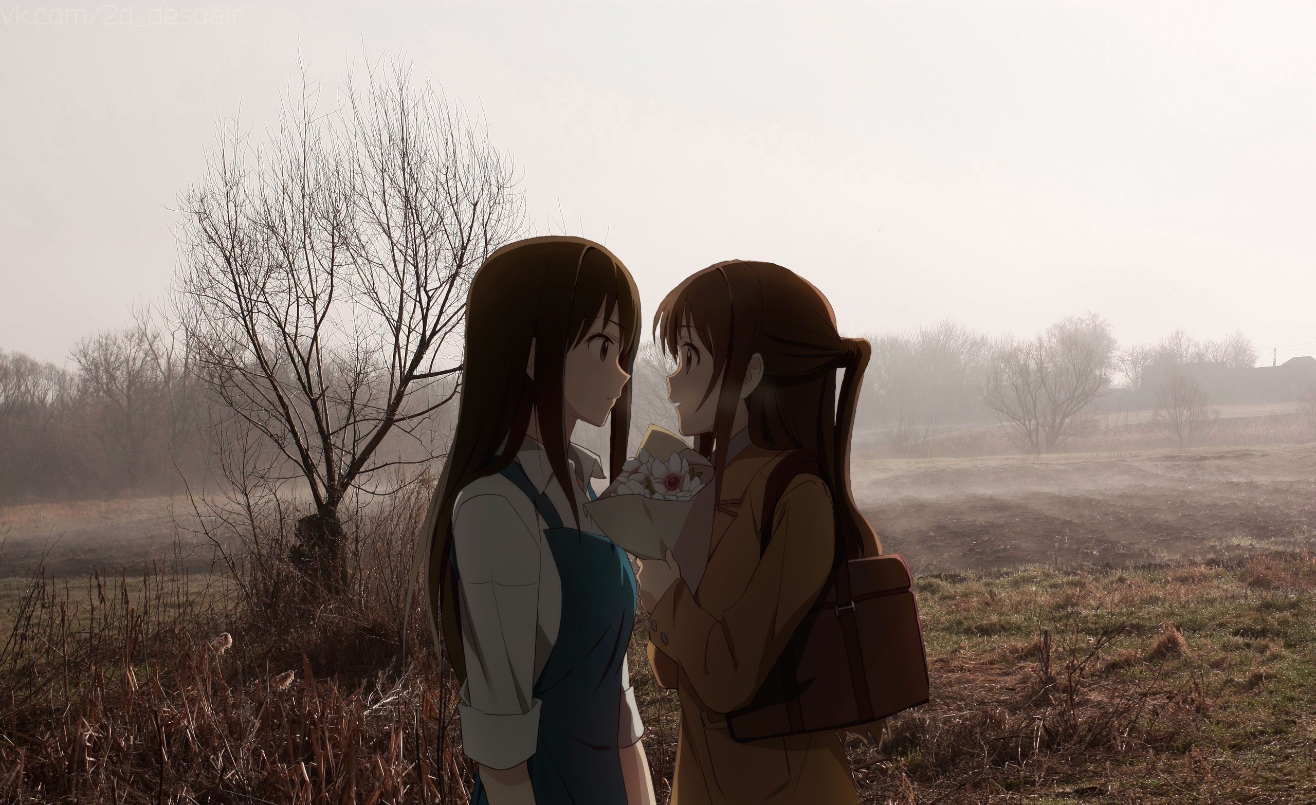anime girls, romantic, mist, anime_irl, HD Wallpaper