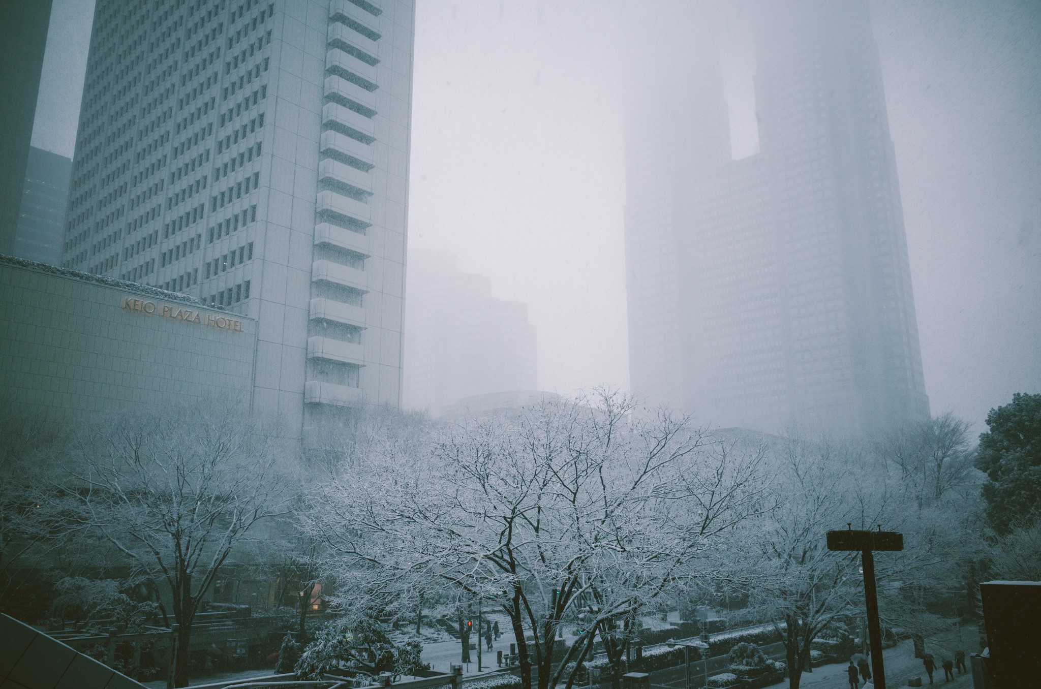 city, mist, building, skyscraper, snow, winter, HD Wallpaper
