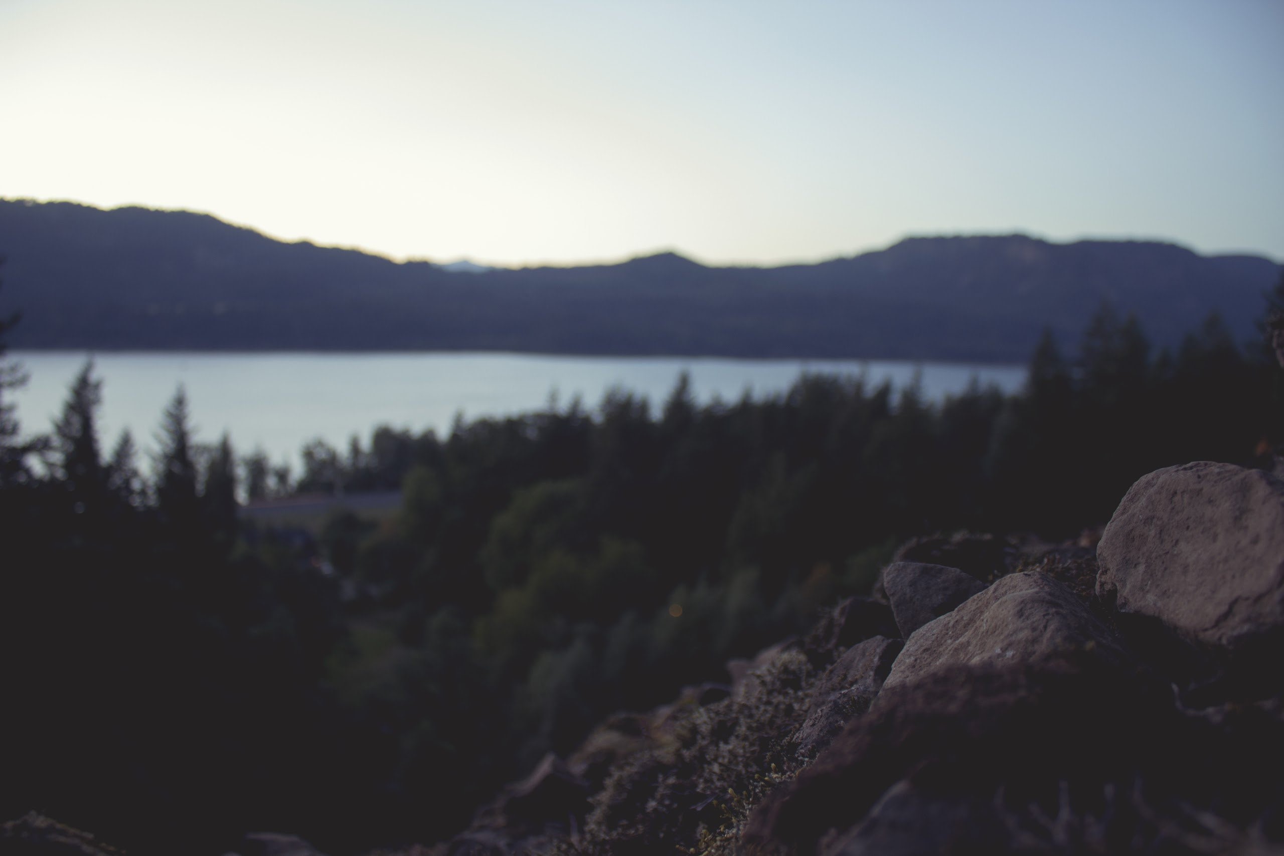forest, lake, mountains, rocks, HD Wallpaper