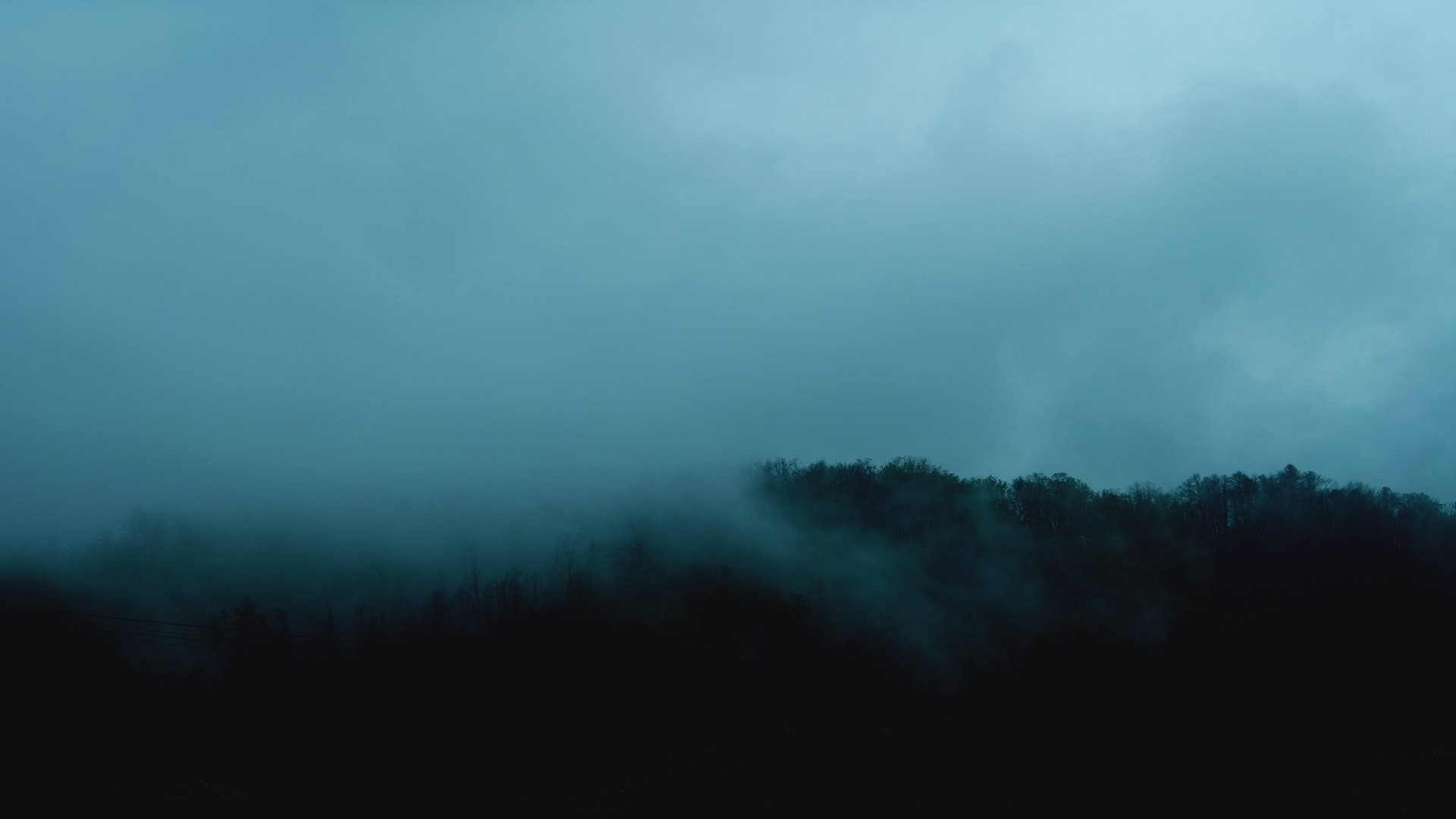forest, mist, morning, HD Wallpaper