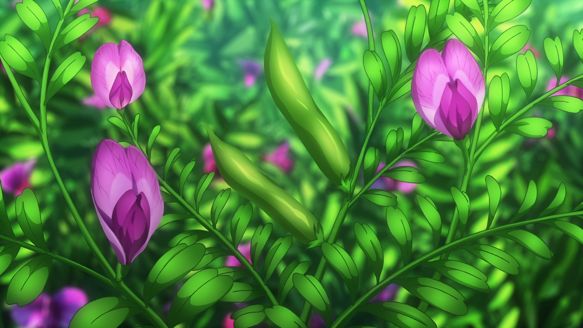 Non Non Biyori, nature, plants, pea, HD Wallpaper