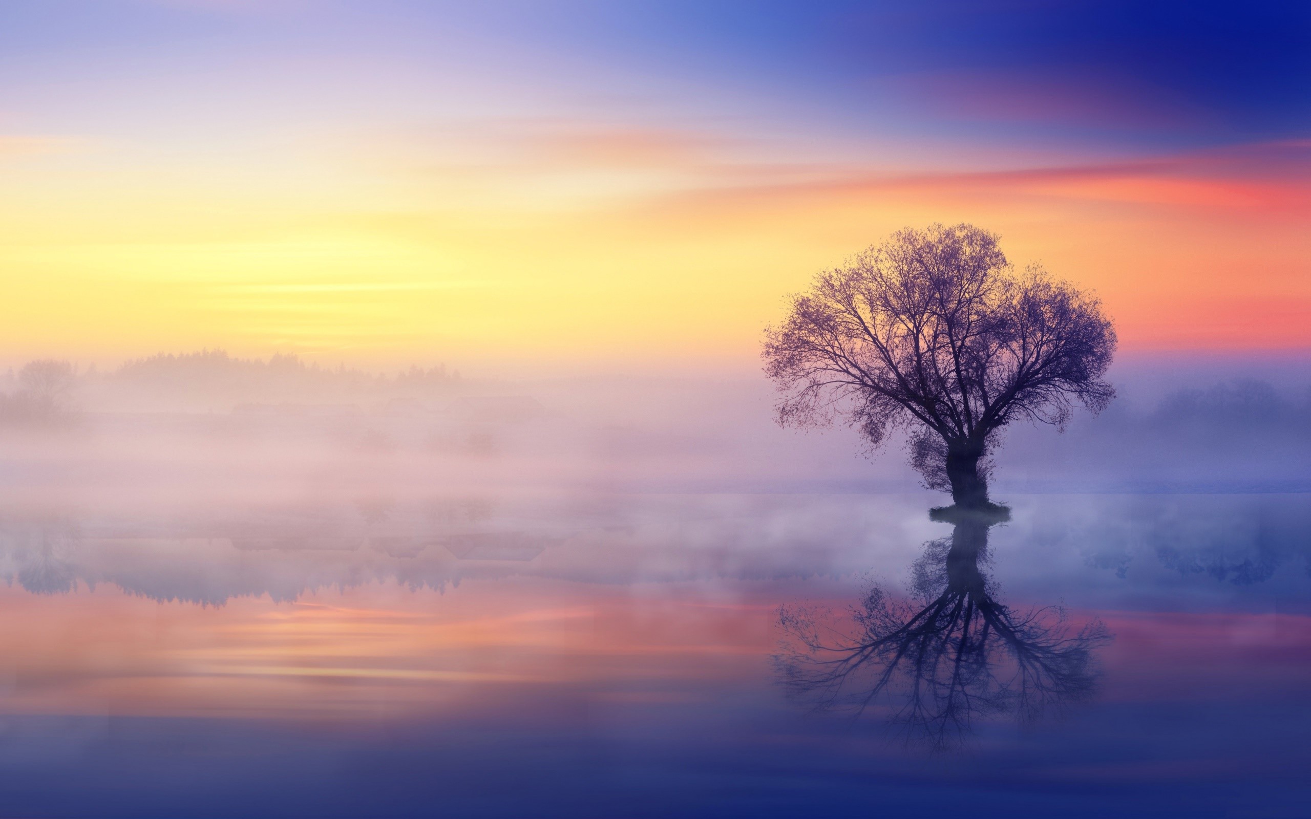 nature, sky, trees, mist, HD Wallpaper