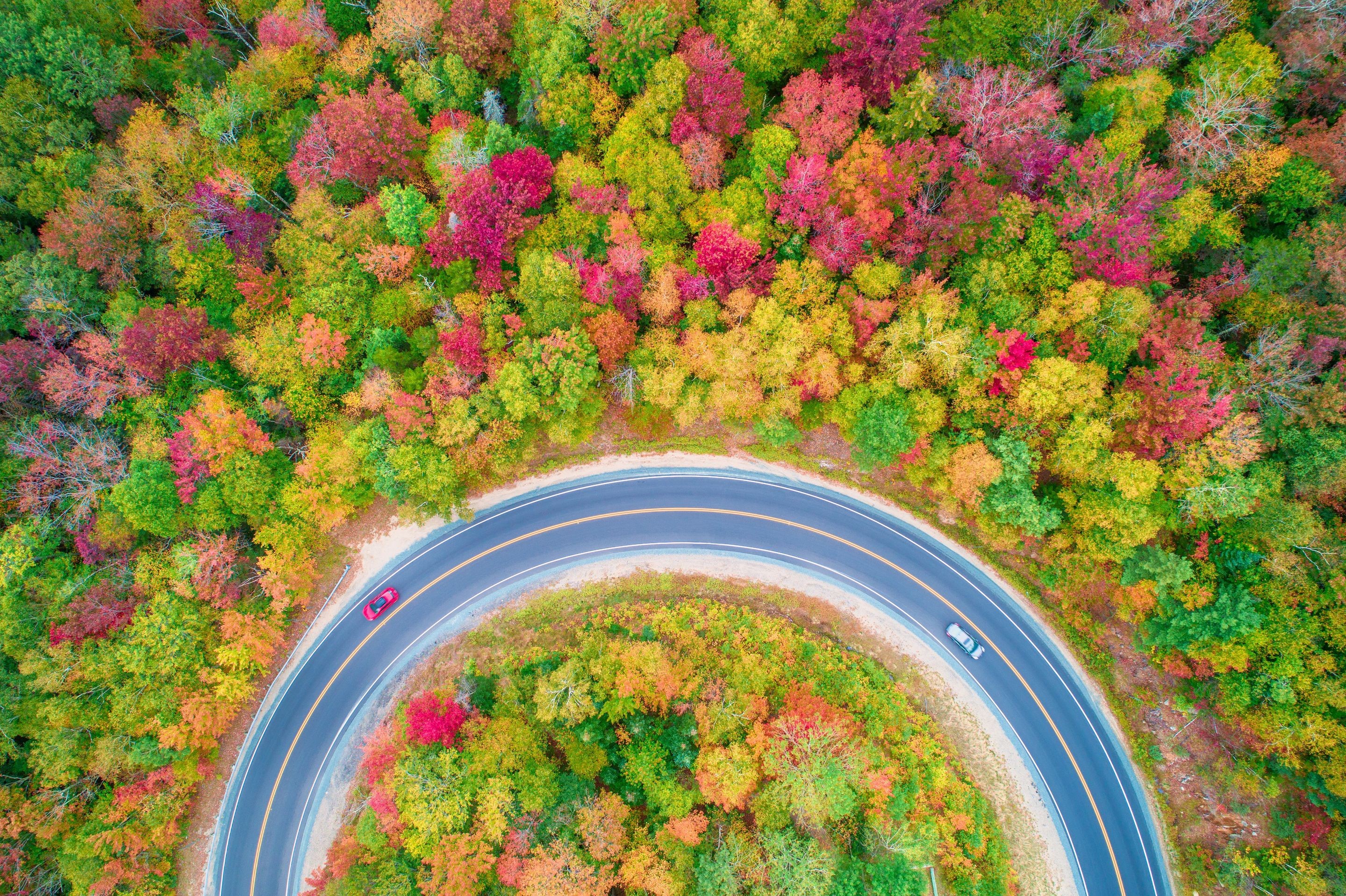 aerial view, road, colorful, trees, fall, HD Wallpaper