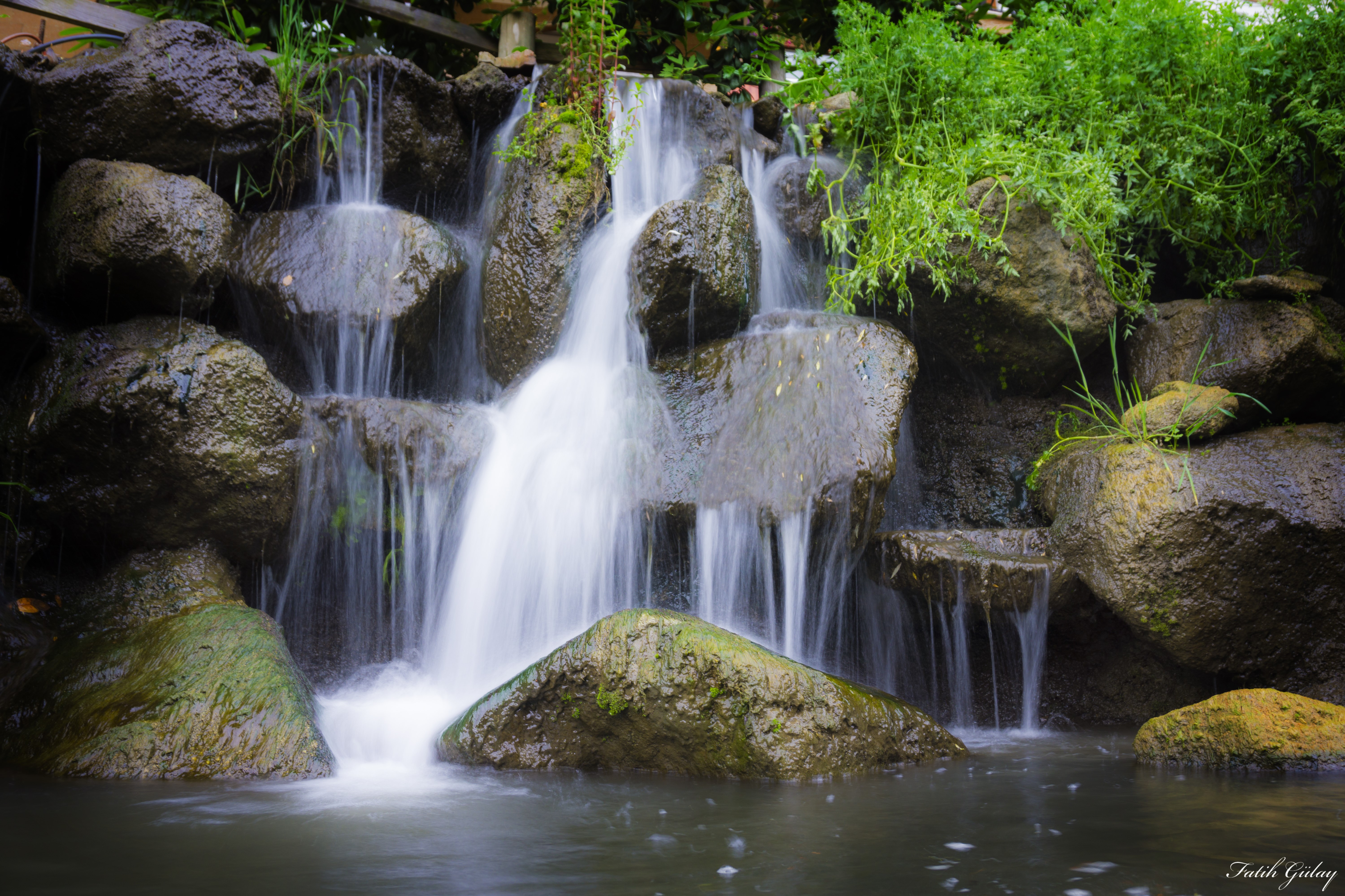 nature, waterfall, water, plants, stones, HD Wallpaper