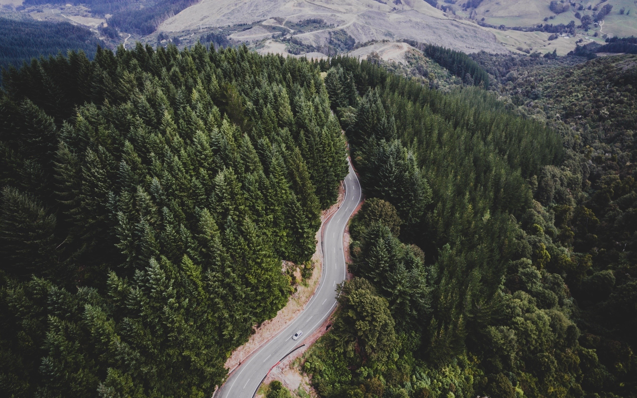 road, aerial view, trees, landscape, HD Wallpaper