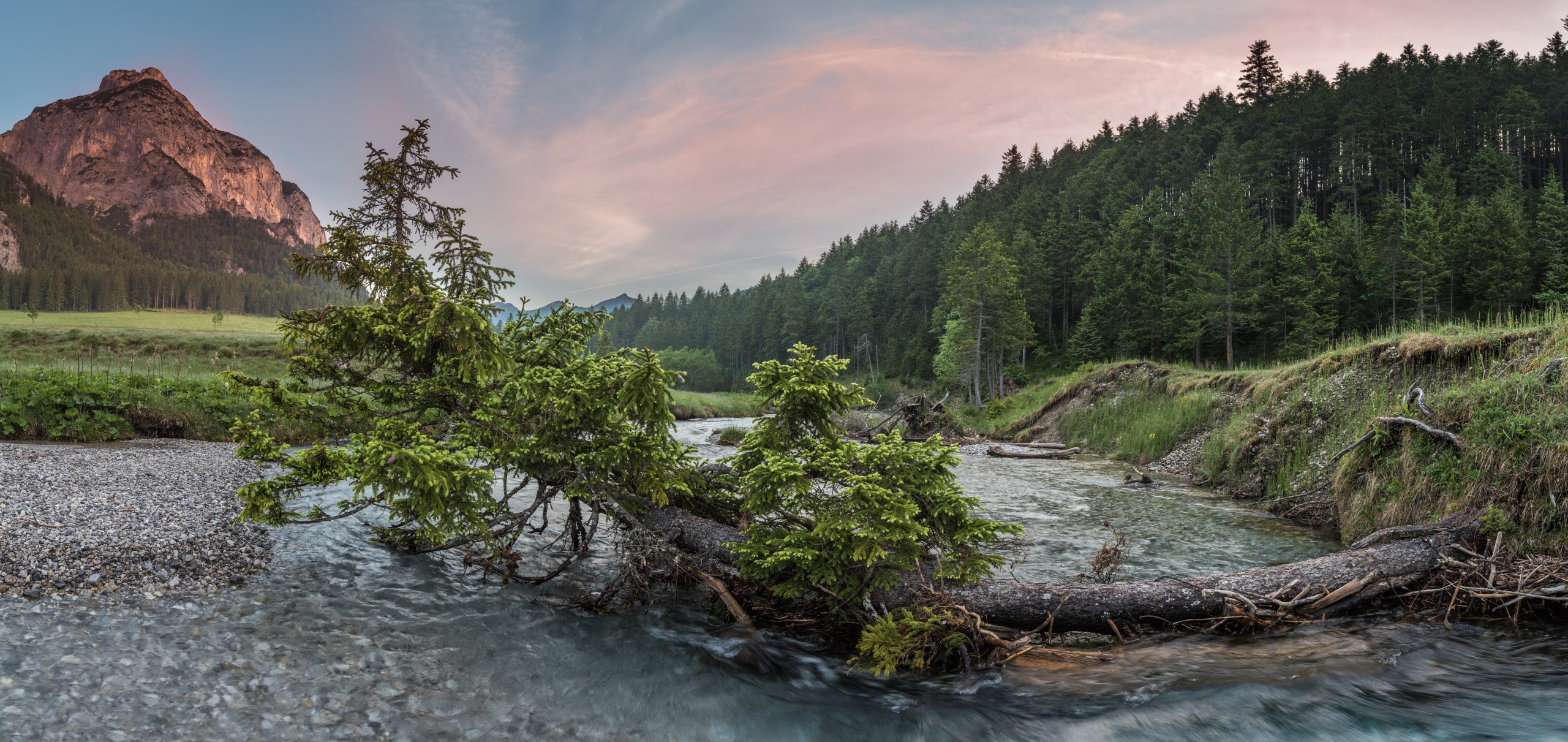 river, water, trees, nature, HD Wallpaper