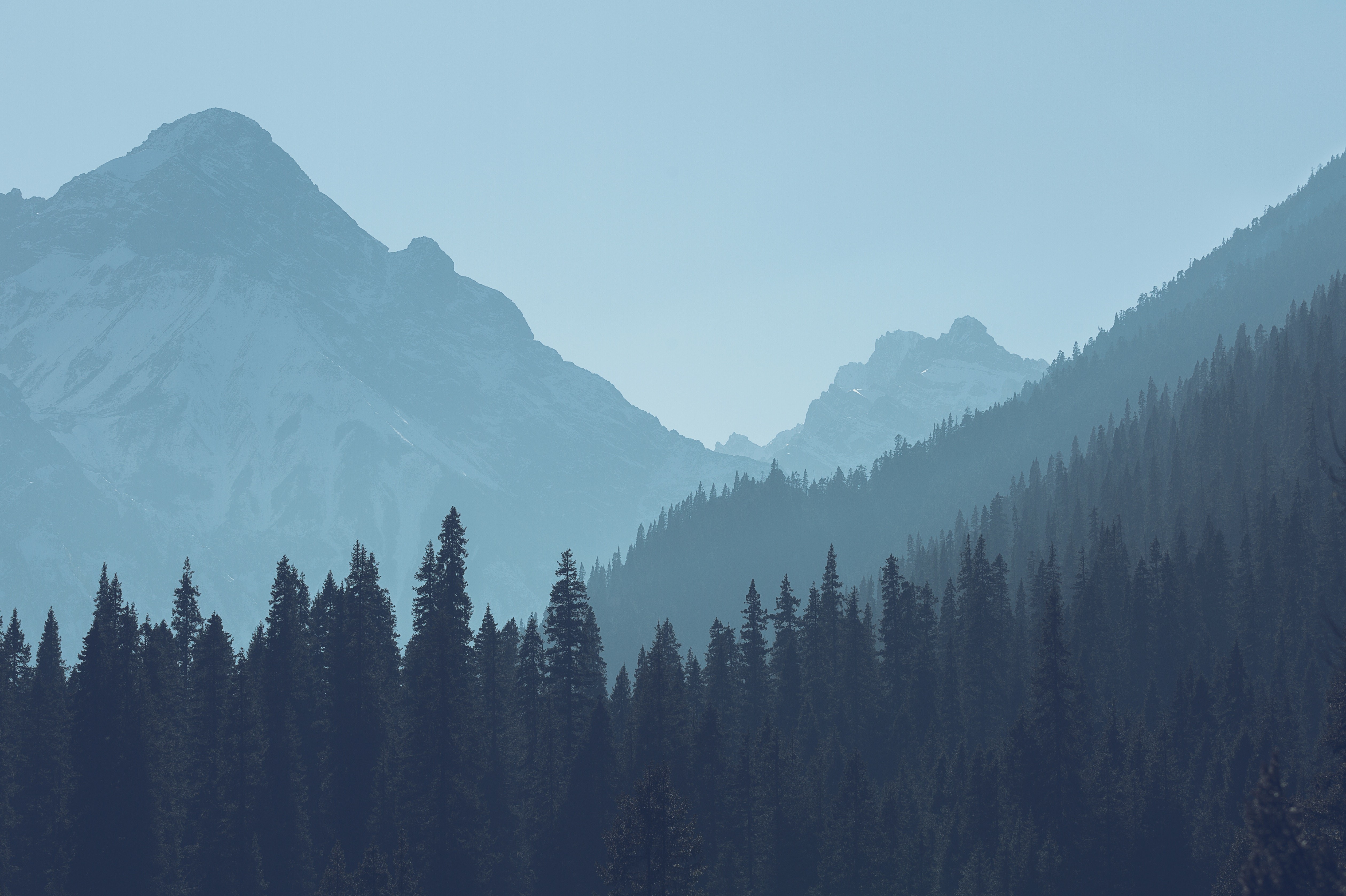 forest, mountains, landscape, trees, nature, HD Wallpaper
