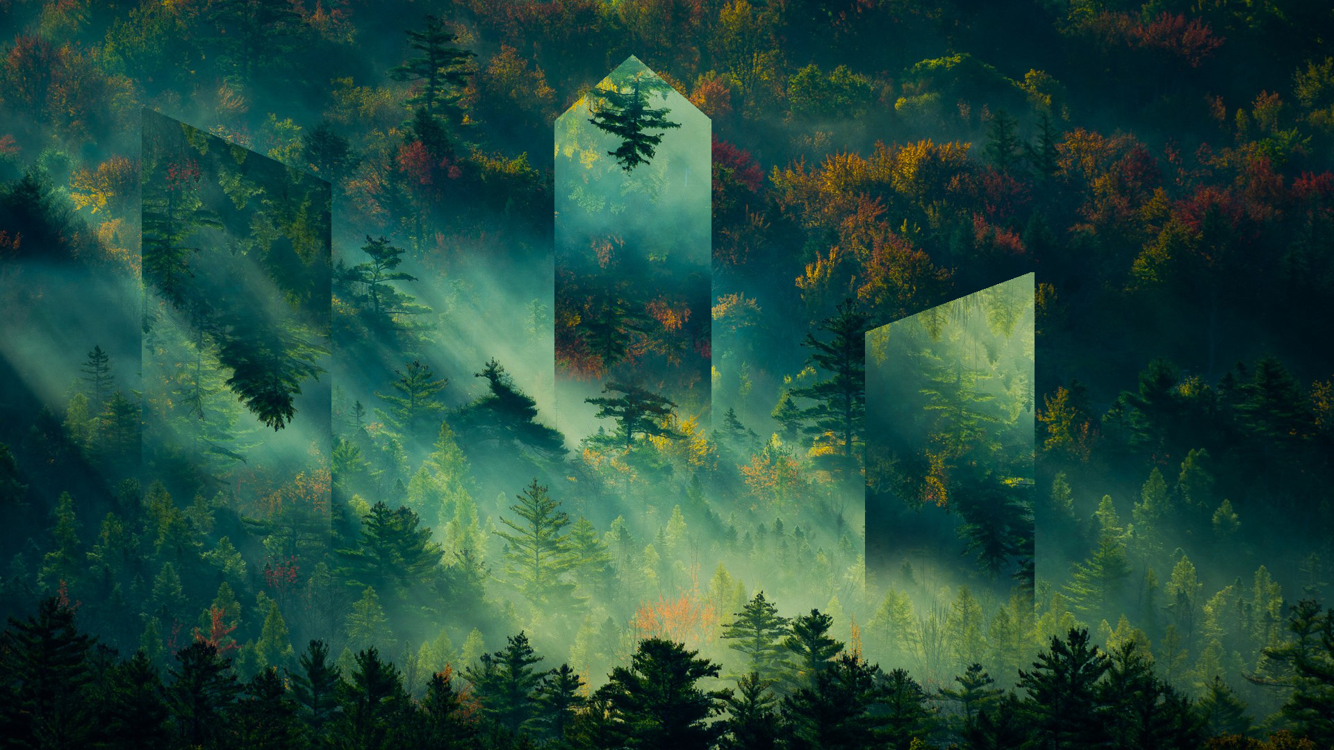 mountains, forest, fall, green, trees, sunlight, HD Wallpaper