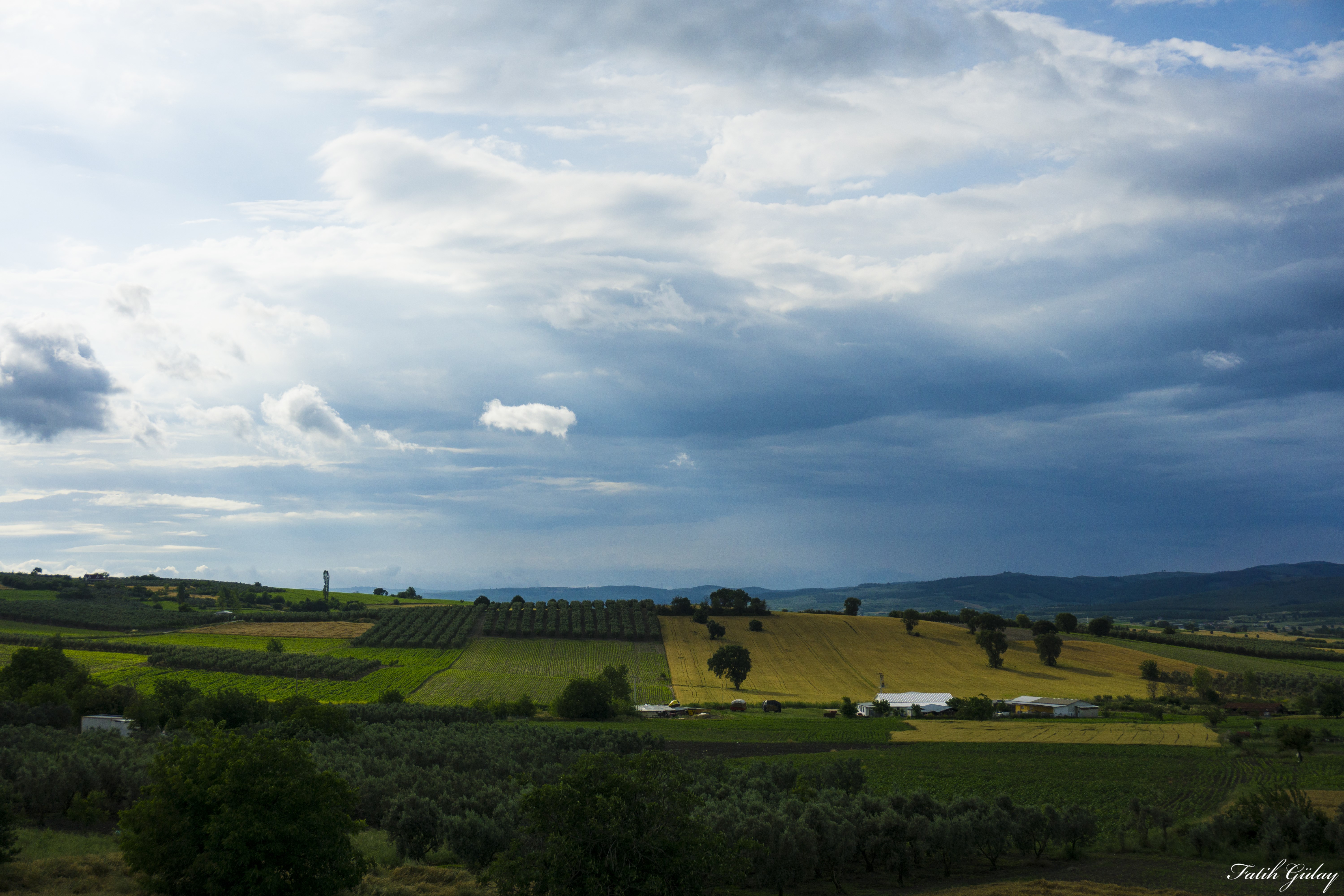 nature, plants, sky, clouds, sunlight, HD Wallpaper