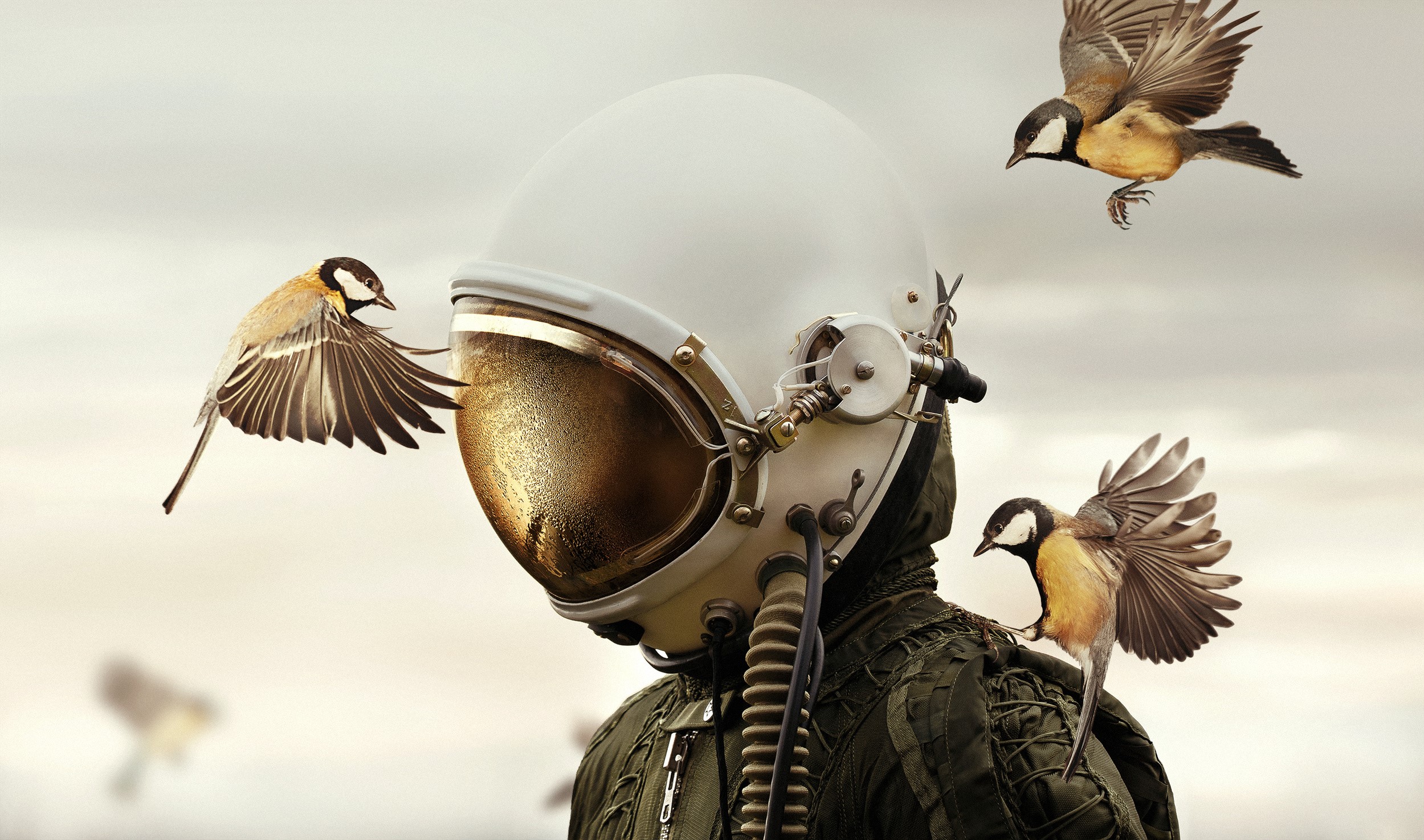 nature, animals, birds, Martin Stranka, pilot, helmet, sky, photo manipulation, water drops, flying, HD Wallpaper